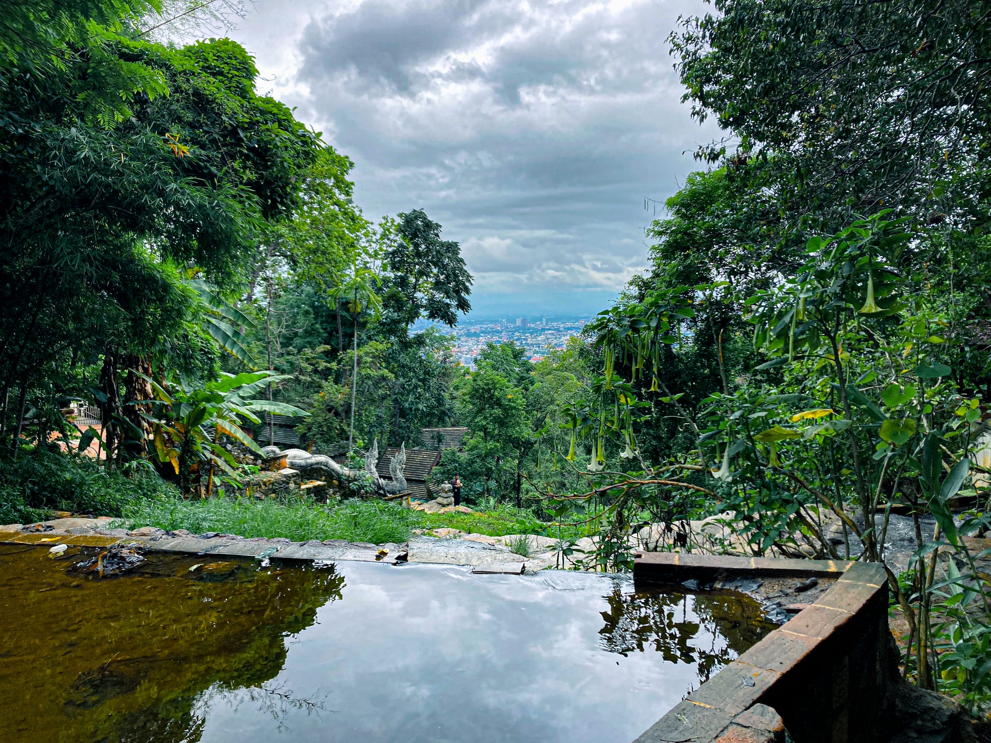 A reflective stone pool at Wat Pha Lat on the Monk’s Trail, framed by lush jungle greenery, with trumpet flowers hanging nearby and a dramatic view overlooking Chiang Mai city in the distance