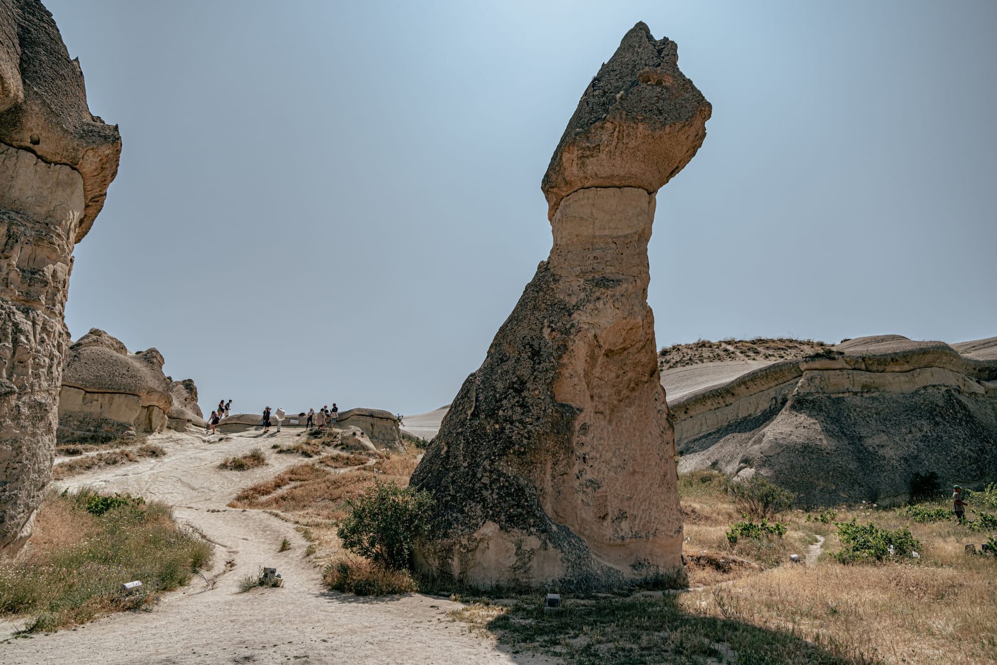 A tall, narrow mushroom-shaped fairy chimney in Paşabağ (Monks Valley), Cappadocia, surrounded by dry grass and rocky hills, with small groups of visitors walking along paths in the background