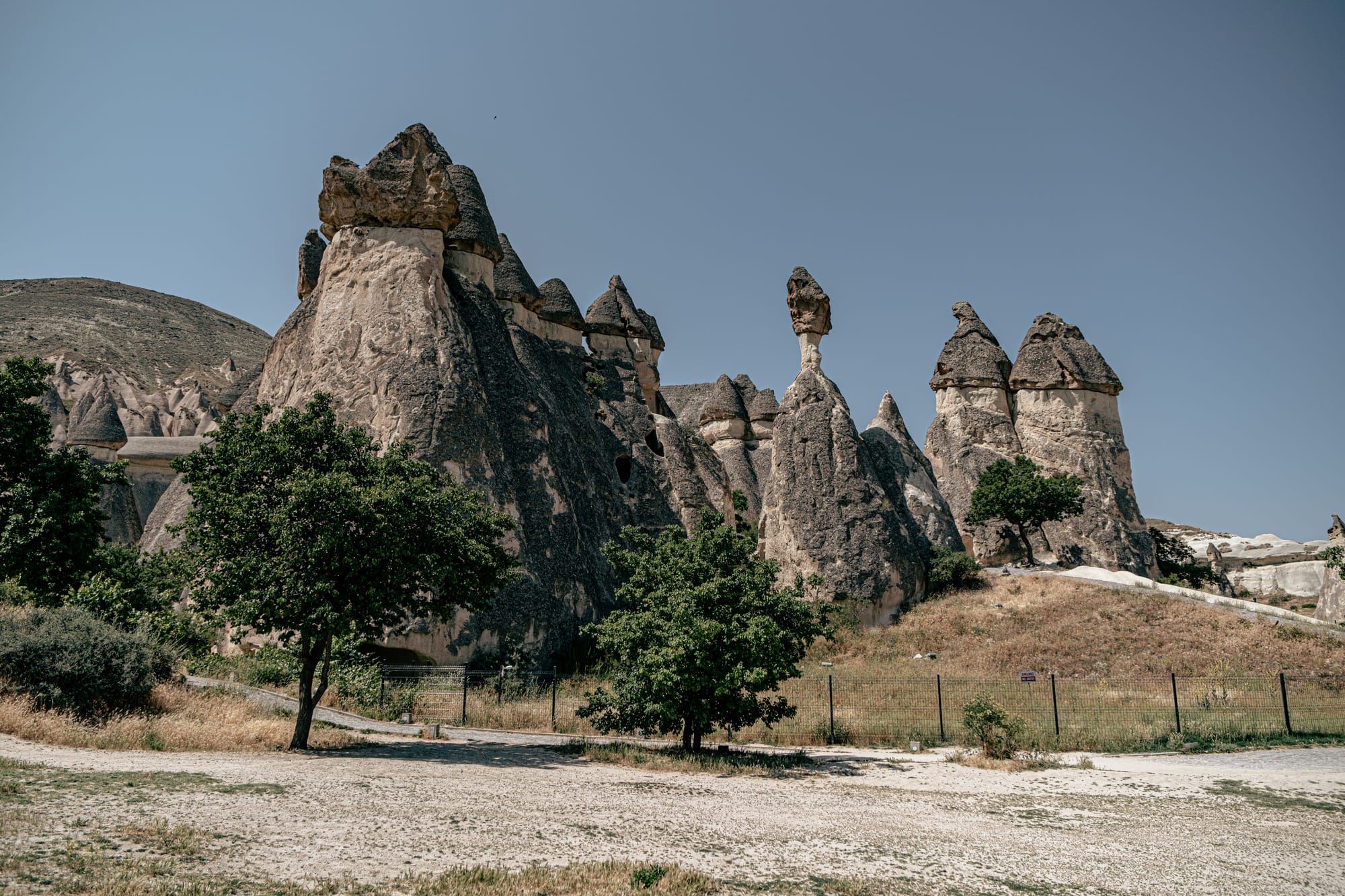 A group of tall, dark-capped fairy chimneys in Paşabağ (Monks Valley), Cappadocia, surrounded by sparse greenery and a fenced pathway, with a backdrop of hills and a cloudless blue sky