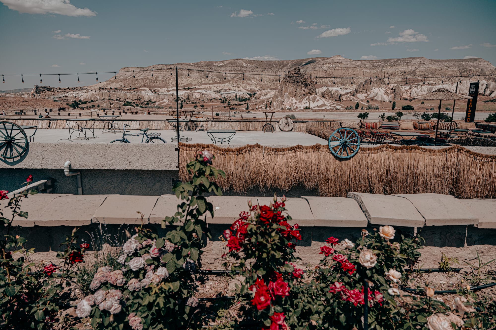 Blooming red, pink, and cream roses in the foreground with Moonlight Ranch’s terrace seating and panoramic Cappadocia mountain backdrop