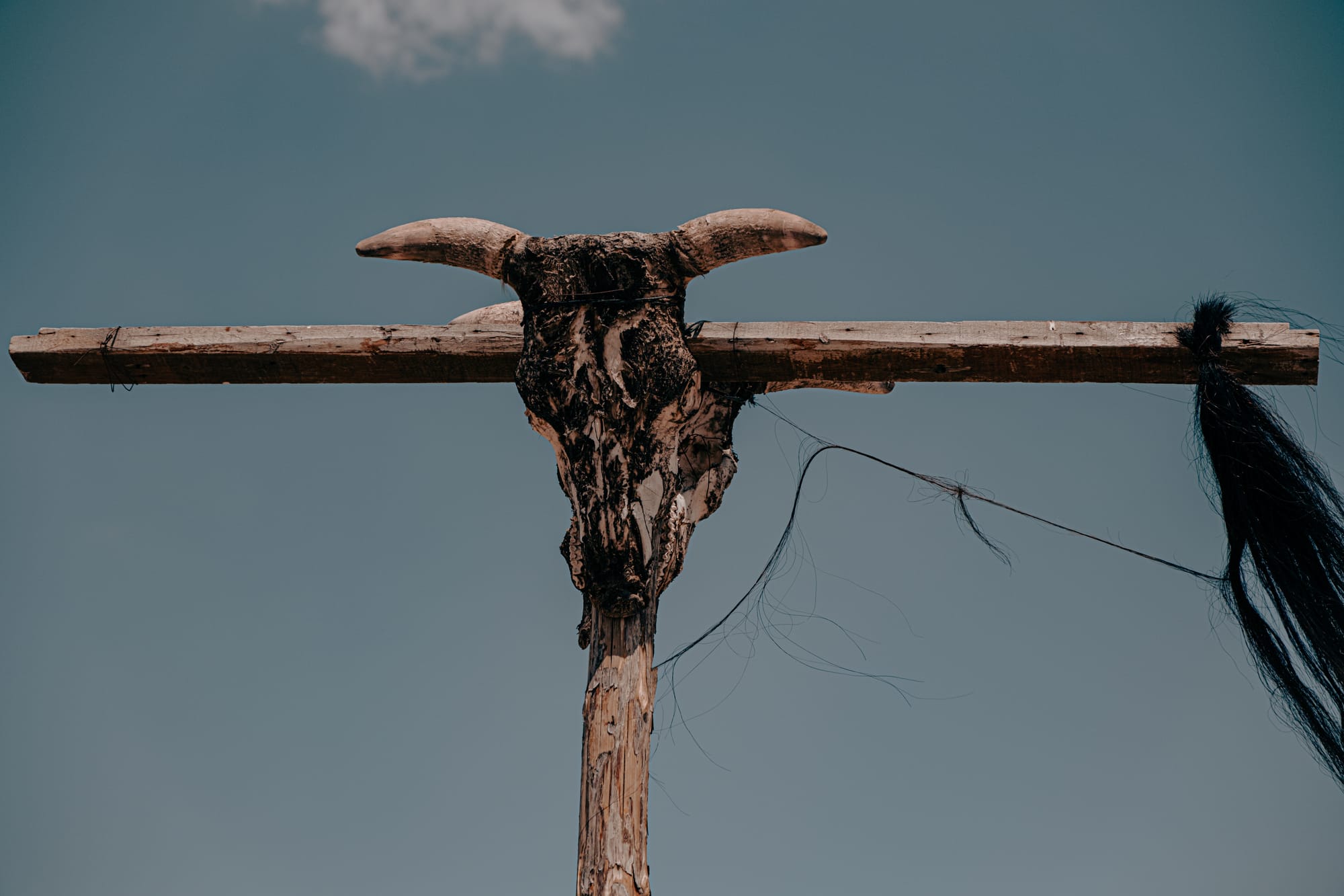 Close-up of a weathered bull skull mounted on a wooden crossbeam at Moonlight Ranch in Cappadocia, Turkey, with strands of black horsehair blowing against a clear blue sky