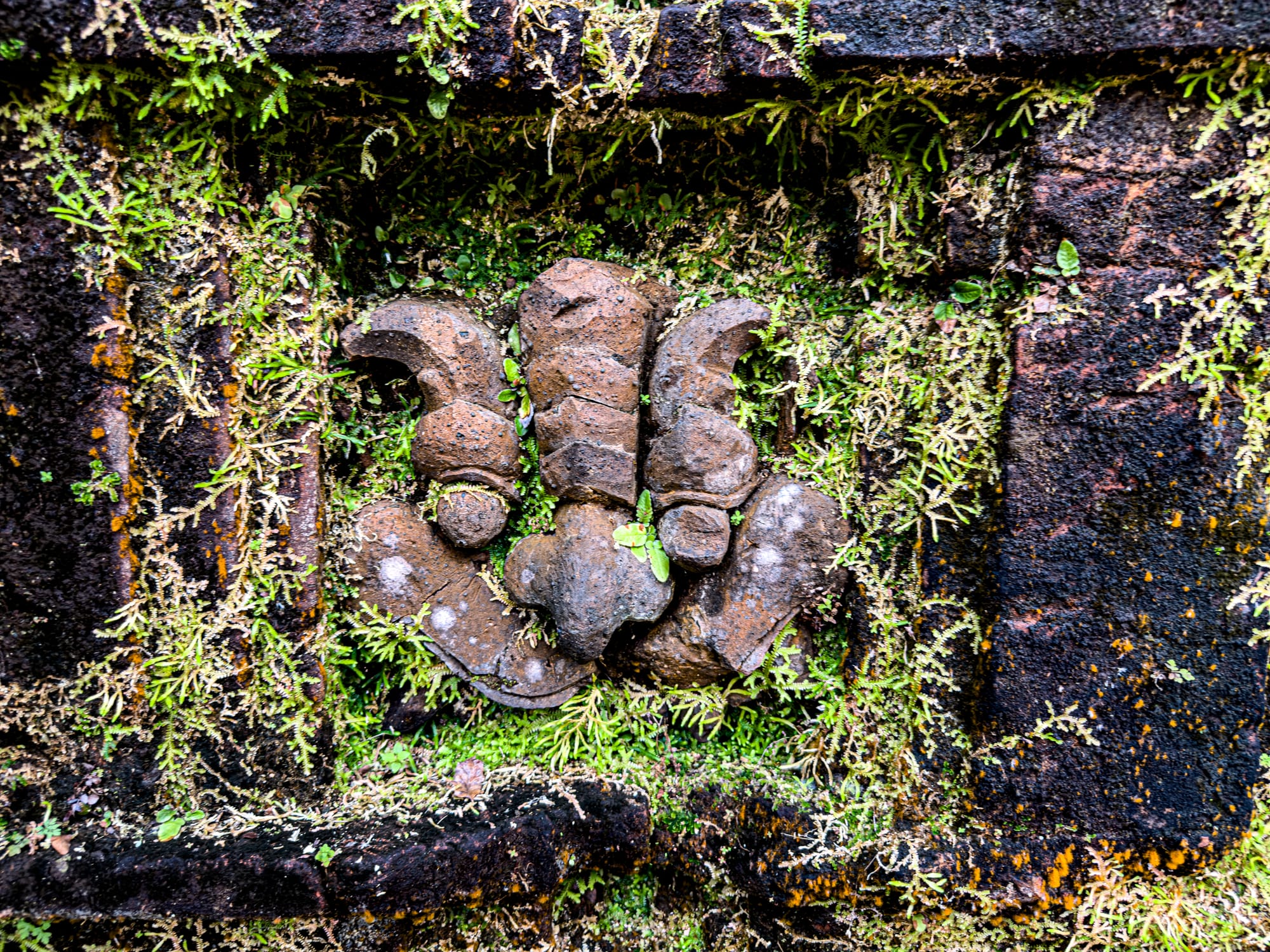 Close-up of Cham stone carving covered in moss at Mỹ Sơn Sanctuary Hindu temple ruins in Vietnam