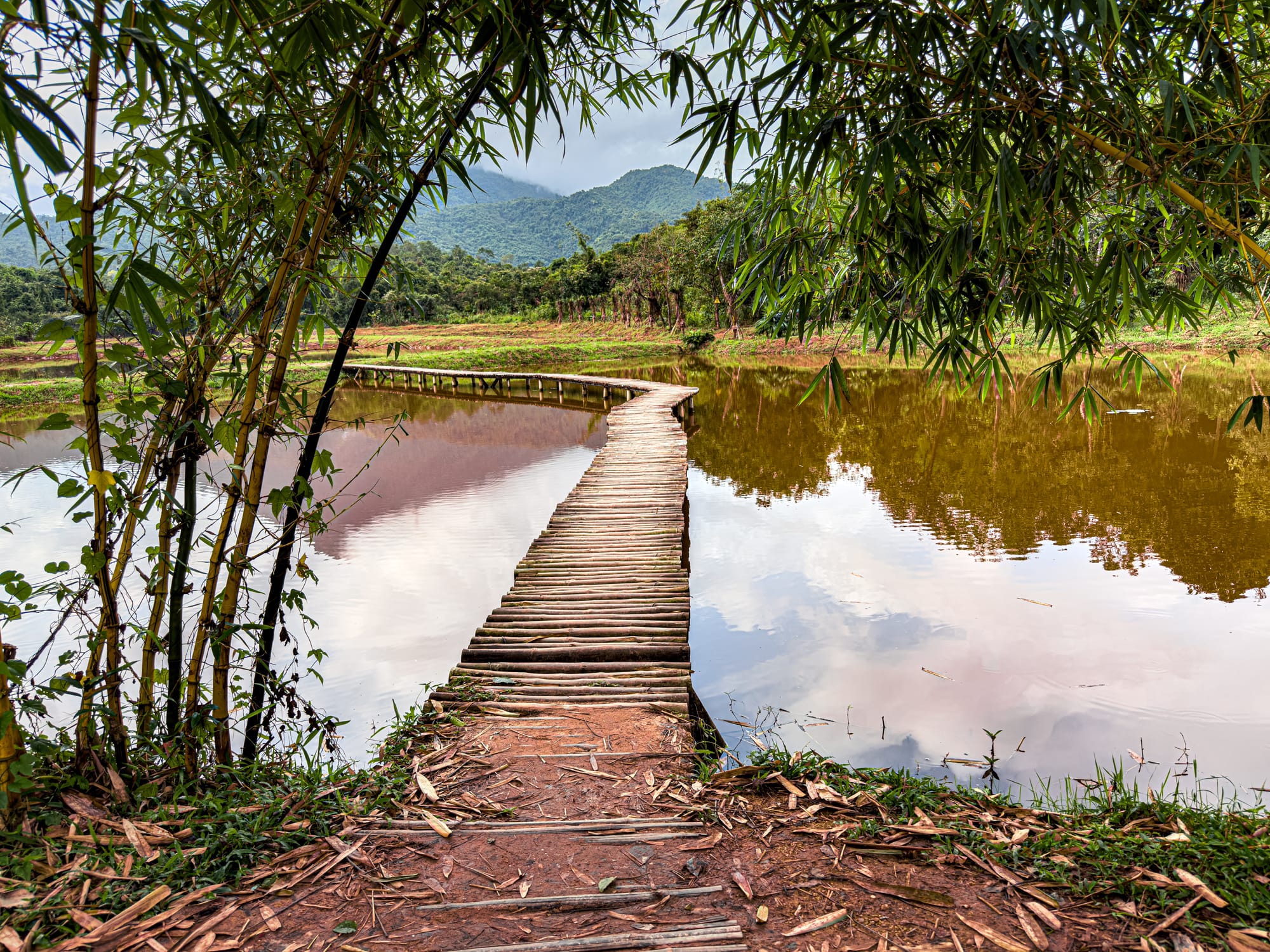 Wooden bridge crossing reflective pond with bamboo and mountains at Mỹ Sơn Sanctuary near Hội An in Vietnam