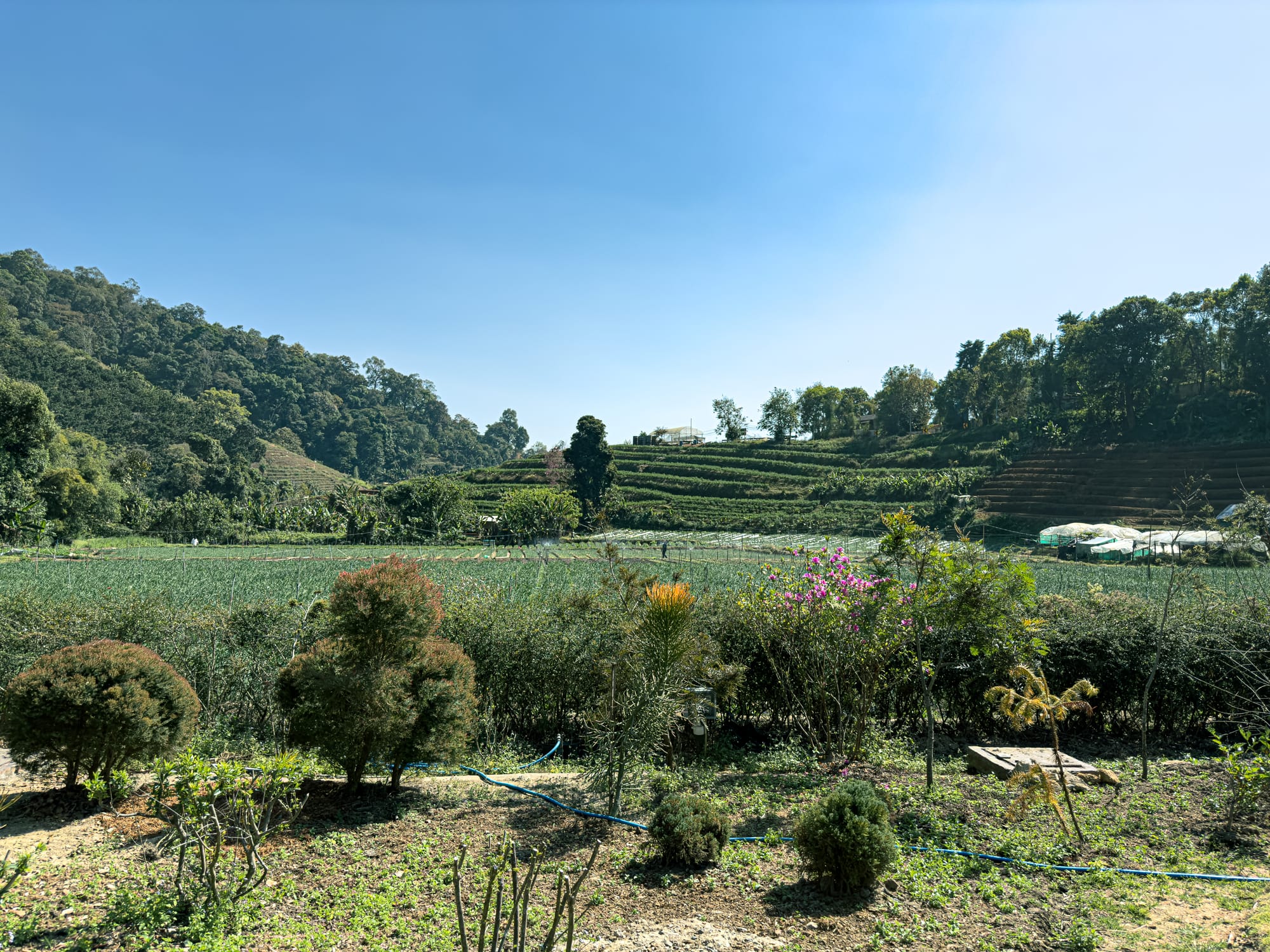 Expansive view of terraced farmland and green hillsides near Onsen at Moncham in Mae Rim