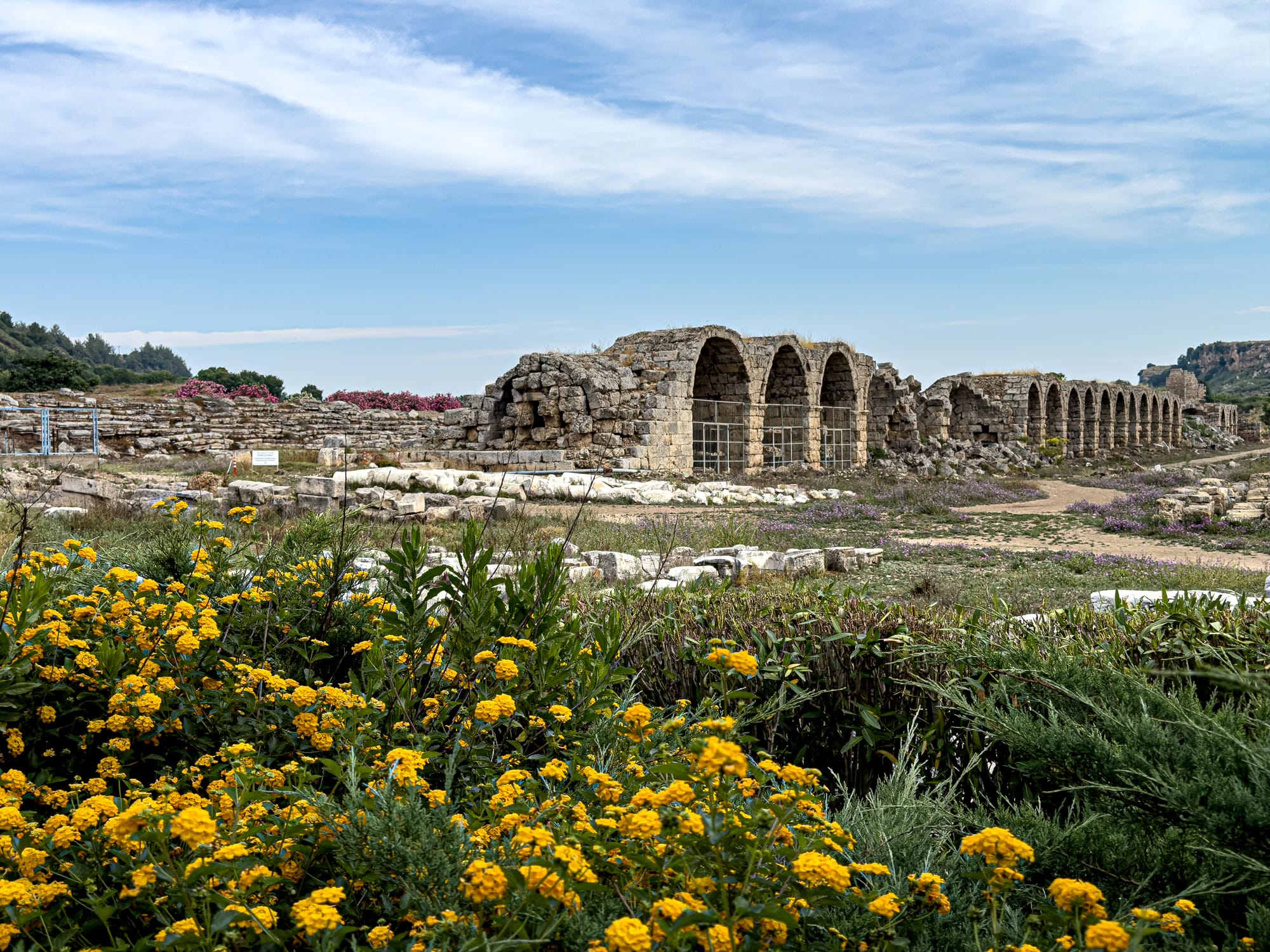 Ancient stone arches of the Roman marketplace at Perge with yellow wildflowers and blue sky near Antalya, Turkey