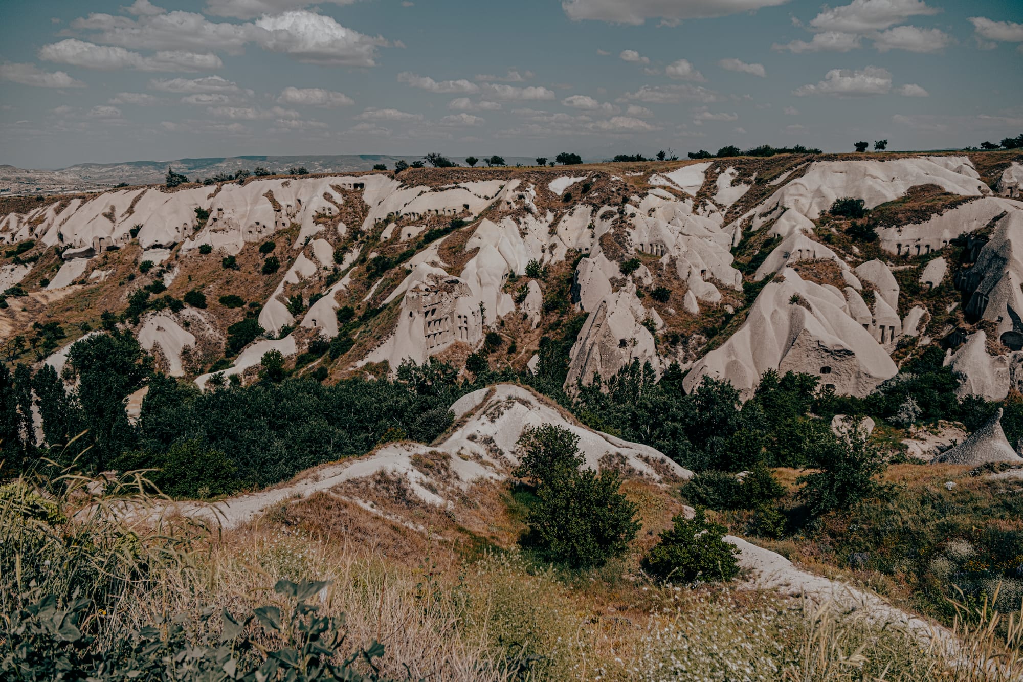 Panoramic view of Pigeon Valley in Cappadocia with ancient pigeon houses carved into white rock formations and lush green trees