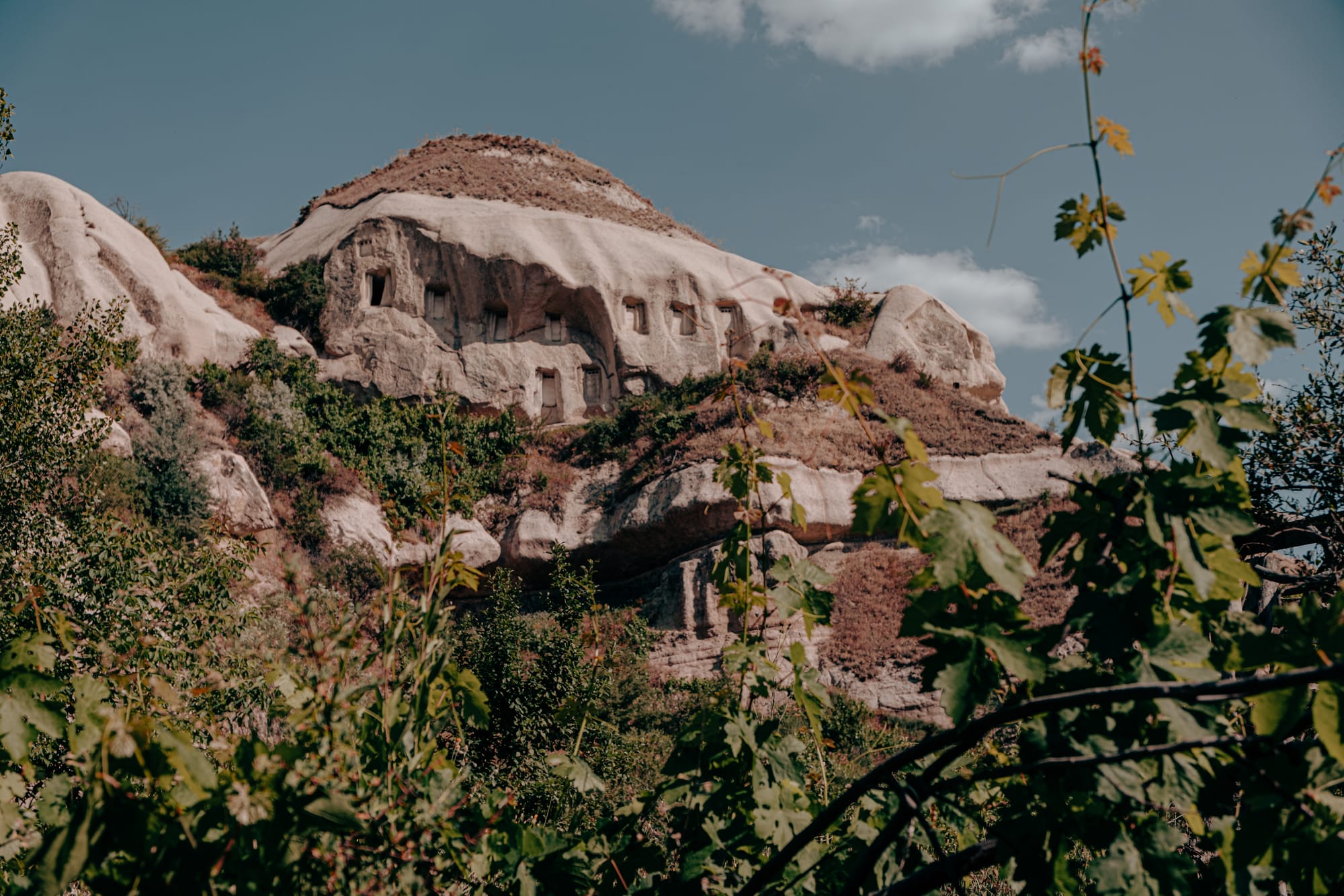 View of ancient cave dwellings carved into rock formations at Pigeon Valley Lookout in Cappadocia framed by green leaves