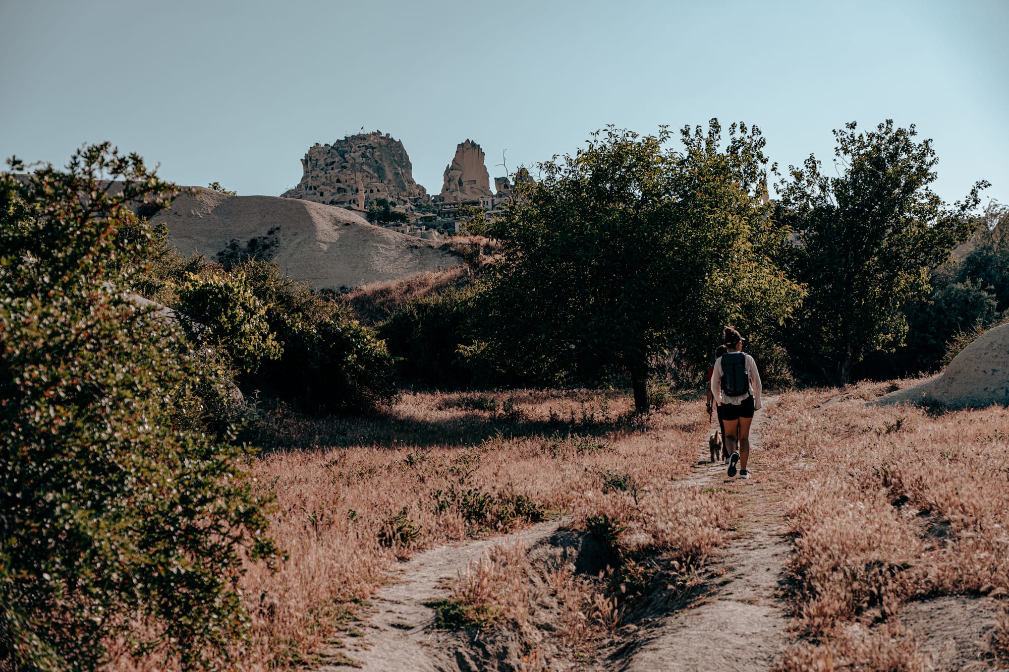 Person with a small dog walking along a narrow trail in Pigeon Valley, surrounded by dry grass and scattered trees, with Uçhisar Castle visible in the background atop the rocky landscape
