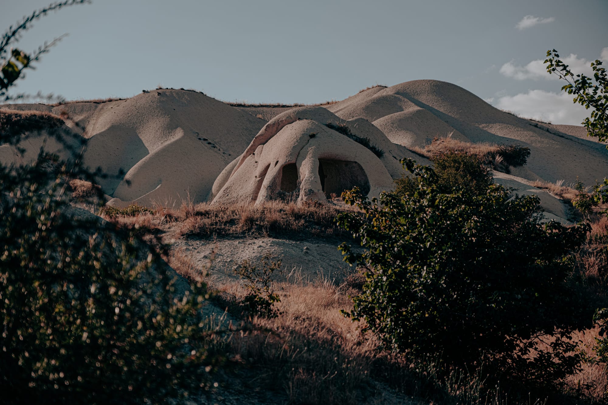 Undulating beige tuff hills in Cappadocia with a prominent arch-like rock formation containing carved openings, framed by sunlit dry grass and the dark silhouettes of nearby trees