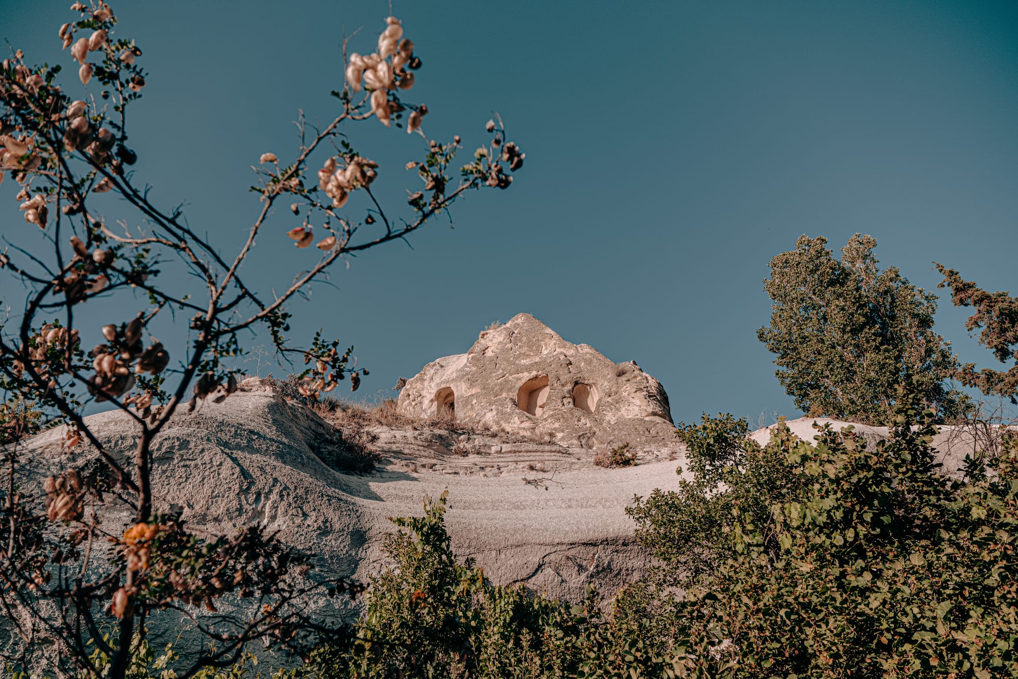 View looking upward at rock formations in Cappadocia containing carved cave dwellings, framed by branches with seed pods in the foreground and leafy green trees against a vivid blue sky