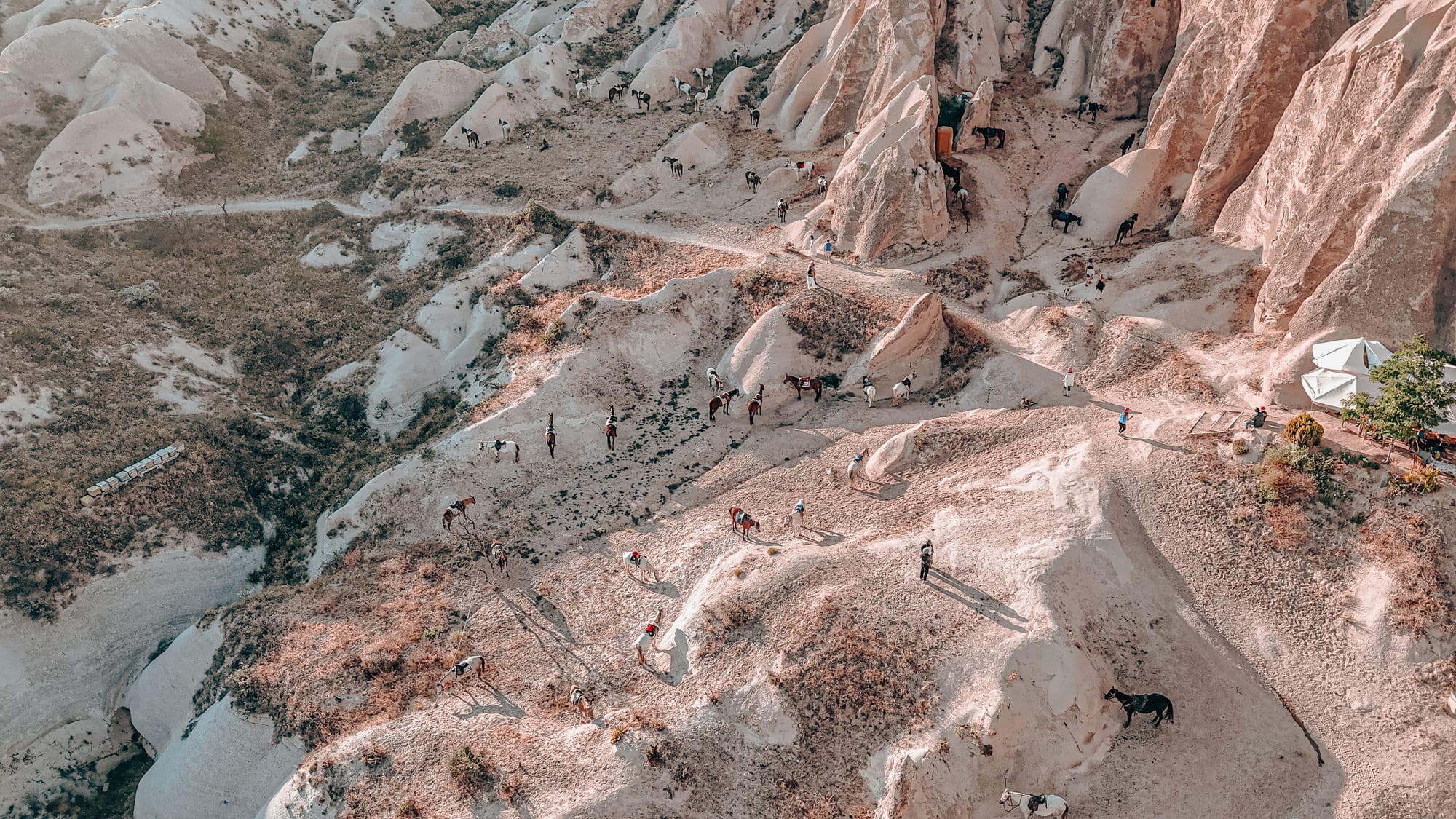 Aerial view of horse riders navigating winding dirt trails through Cappadocia’s sunlit valleys, surrounded by rugged rock formations and scattered vegetation