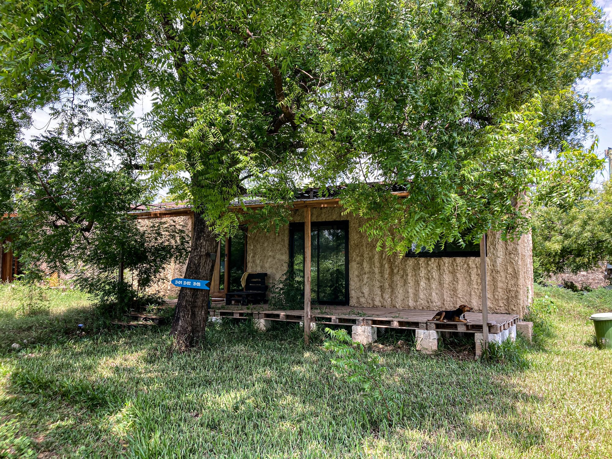 An accommodation unit at Skippers Coliving in Diani Beach, built with textured walls and shaded by a large tree, featuring a simple wooden porch with a chair, surrounded by green grass and foliage