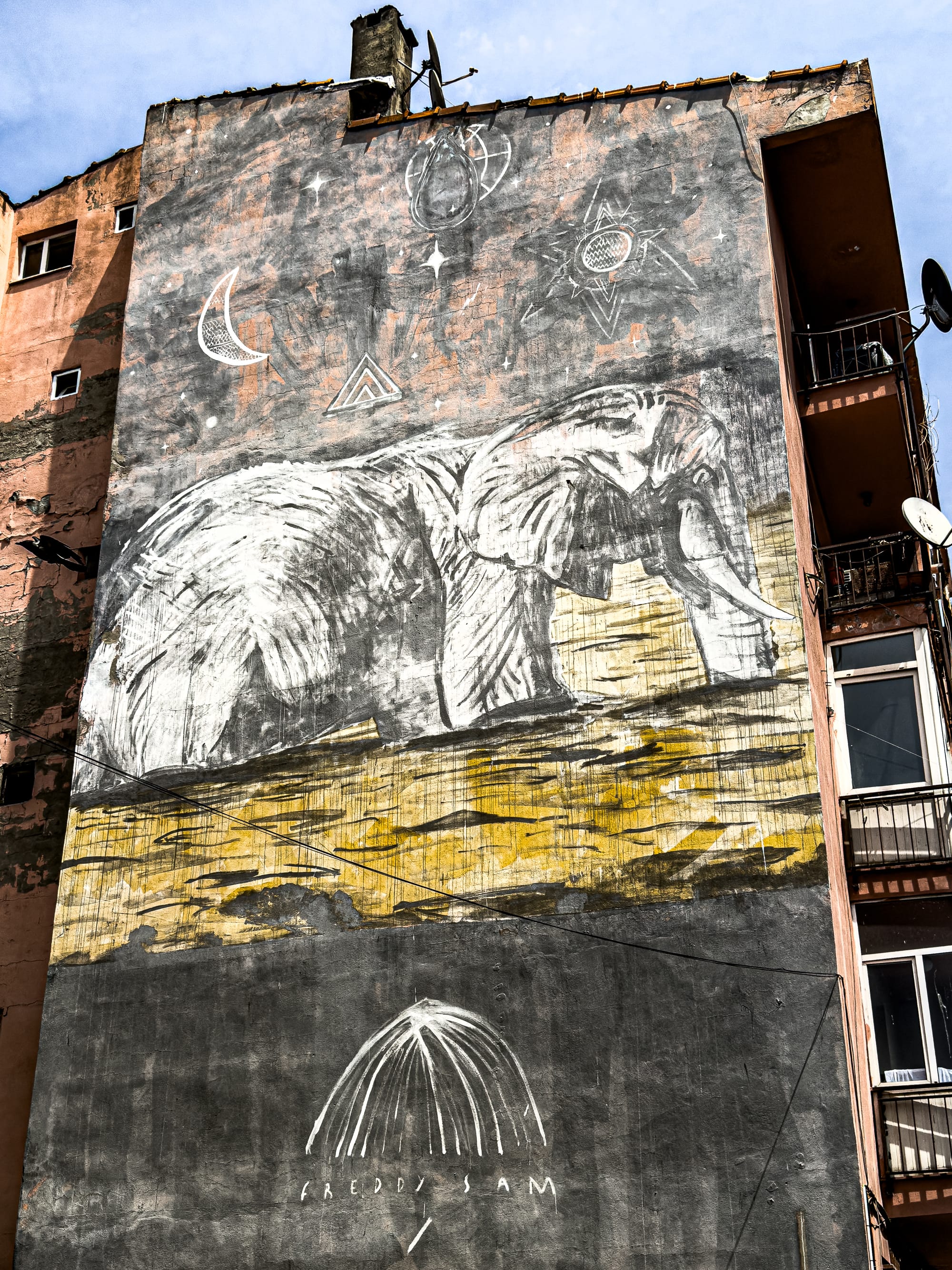 A large mural of a white elephant walking through a golden-yellow field, with chalky celestial symbols above and a dark background below, signed “Freddy Sam"