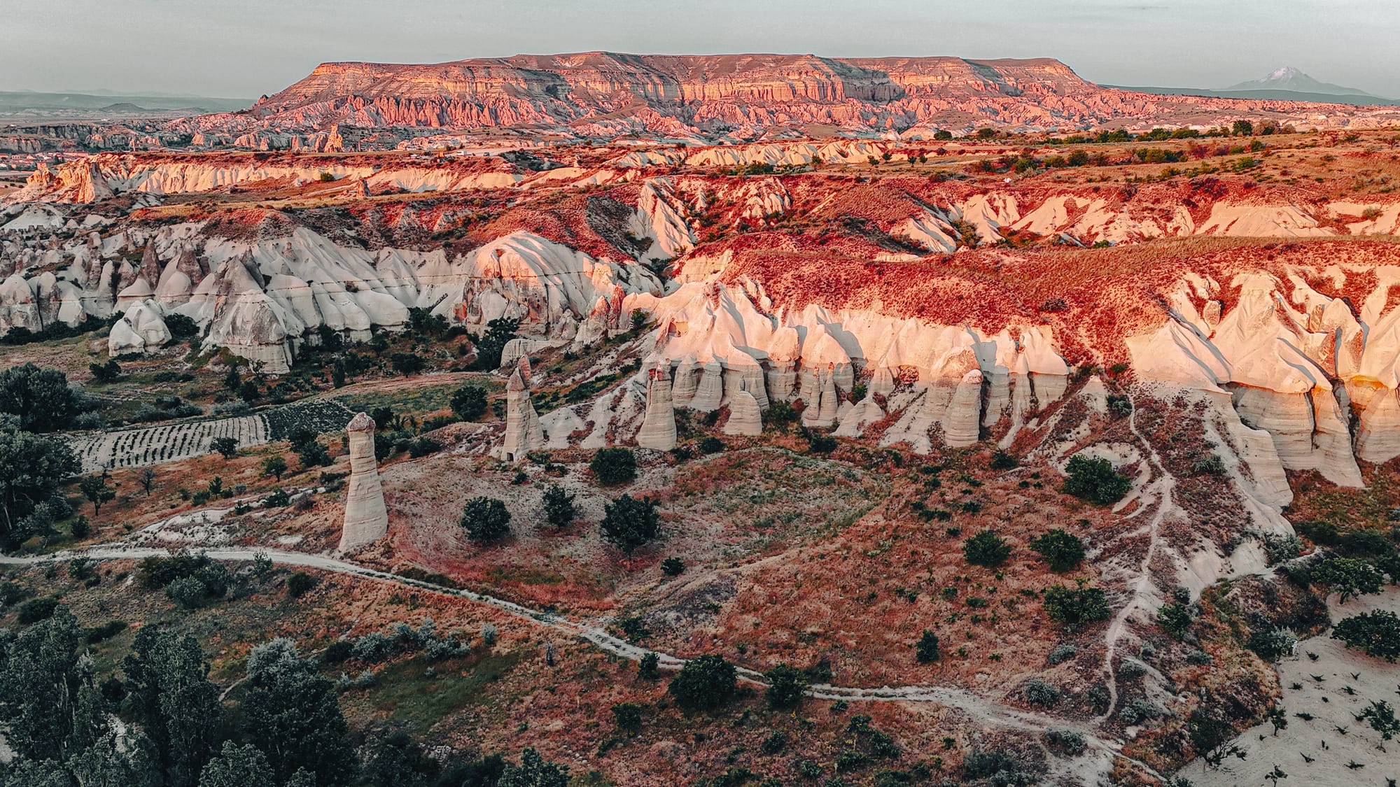 Aerial view of Love Valley in Cappadocia with tall rock pillars and white cliffs illuminated by the warm light of sunset