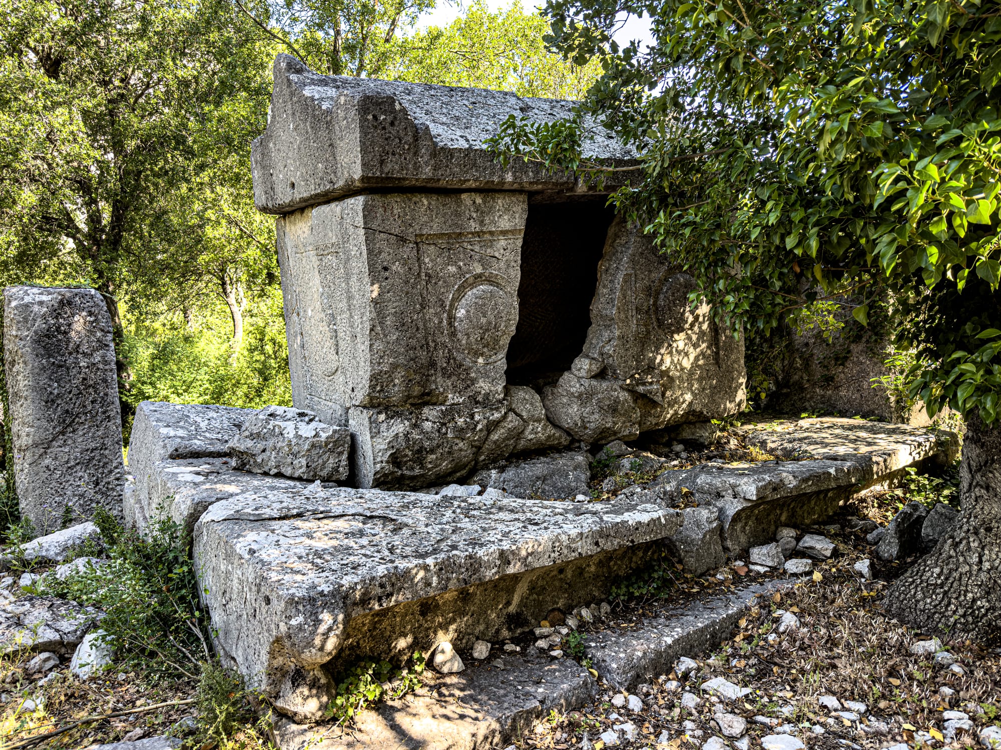 An ancient stone sarcophagus in Termessos with a broken lid and carved circular relief, surrounded by trees and scattered ruins