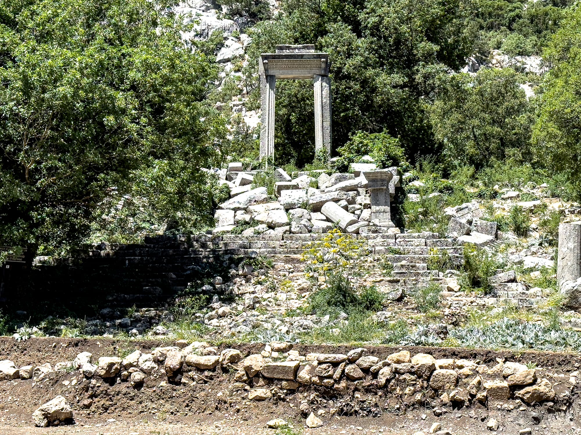 A stone colonnade at Termessos rises from a heap of ancient ruins and collapsed columns, partially enveloped by dense green forest