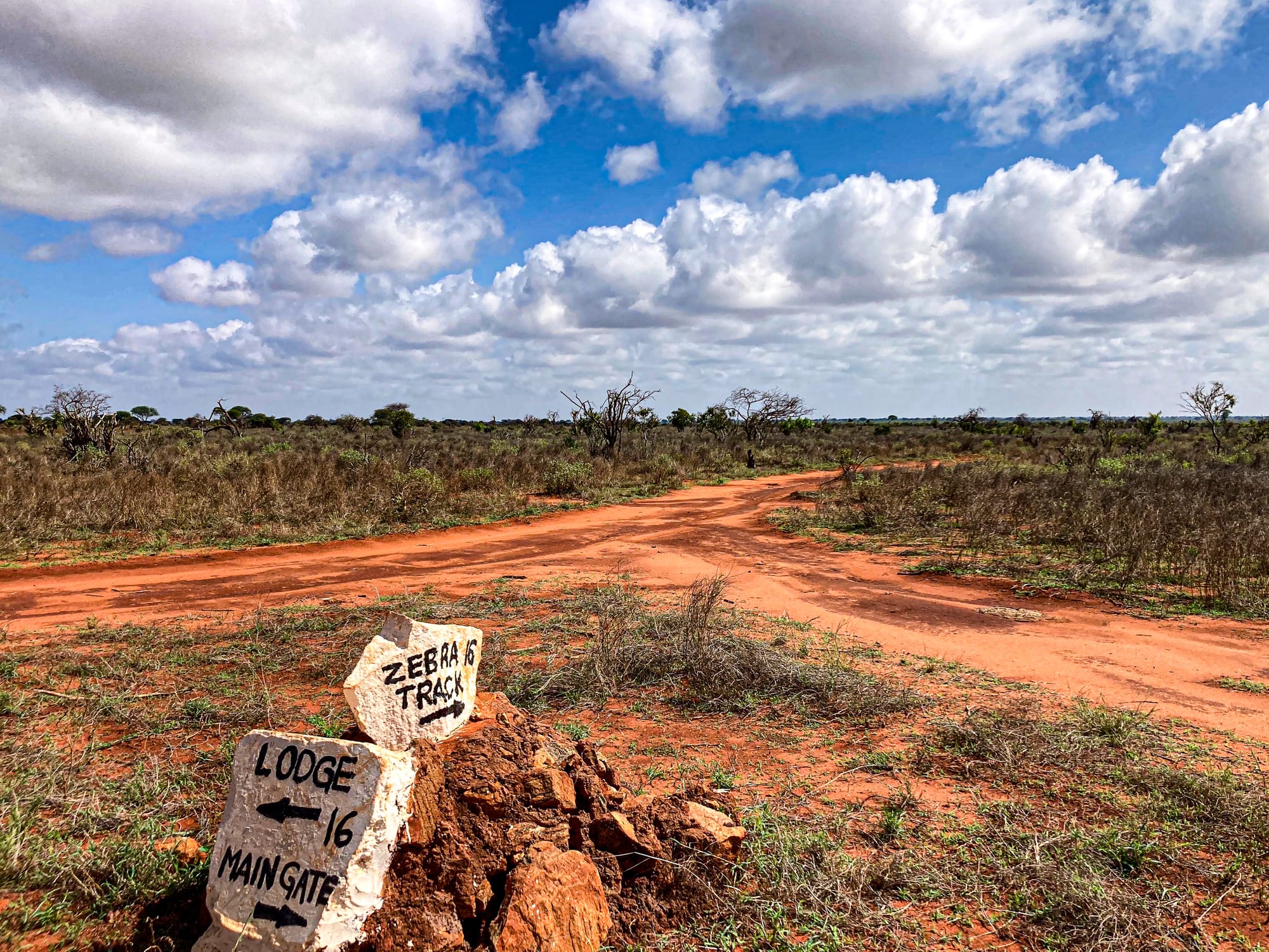 A simple white-painted stone sign at a junction in Tsavo East National Park shows arrows toward the lodge, the main gate, and a track named “Zebra’s Track,” set against red dirt roads, dry savanna vegetation, and a wide sky with scattered clouds