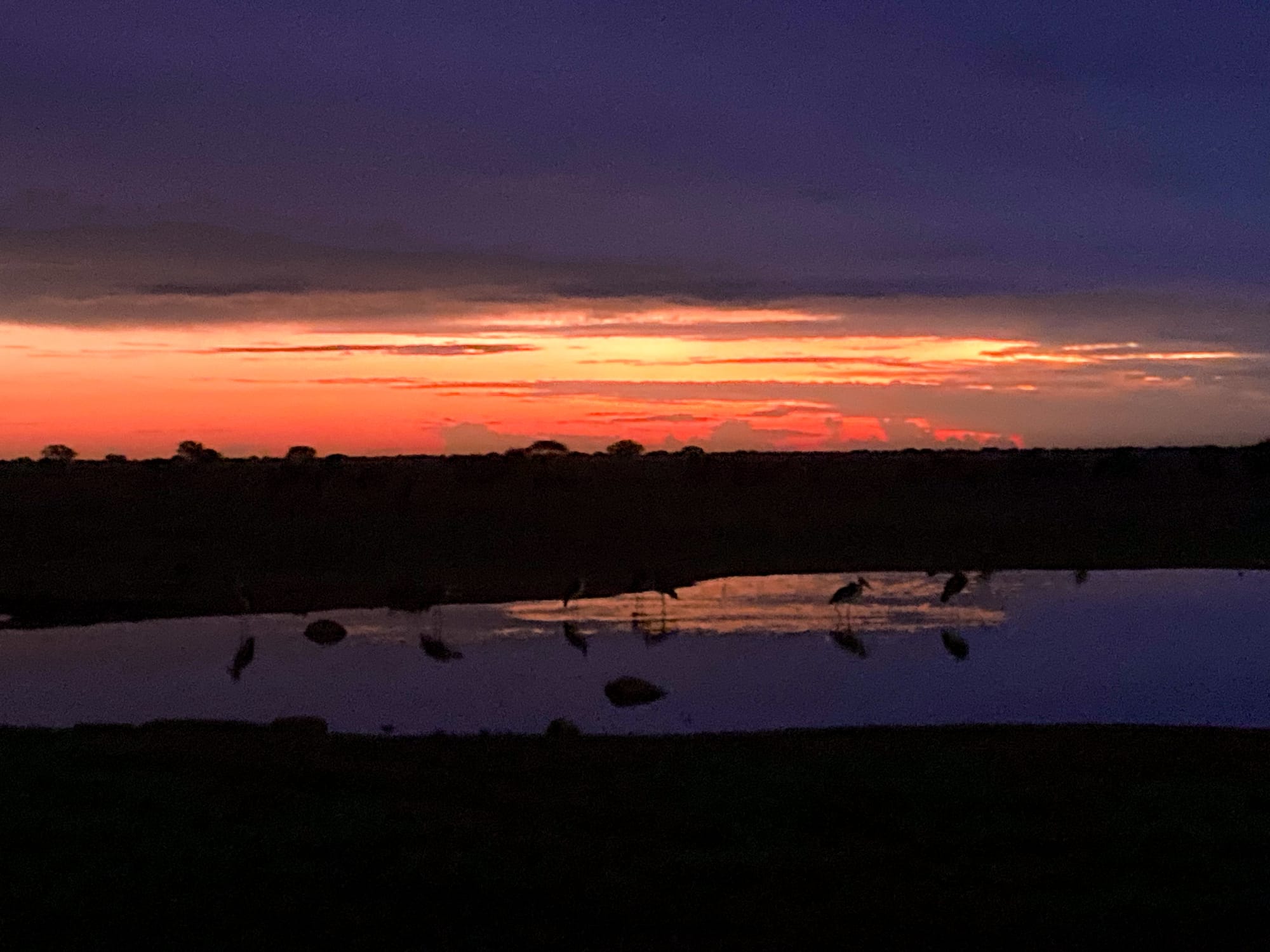 A collage of safari moments in Tsavo East National Park: the silhouette of a guide holding a spotlight from the roof of a jeep on a dark dirt track; a hyena illuminated by the beam walking across red soil at night; a wide view of a glowing orange and purple sunset reflecting on a waterhole with birds visible along the shore