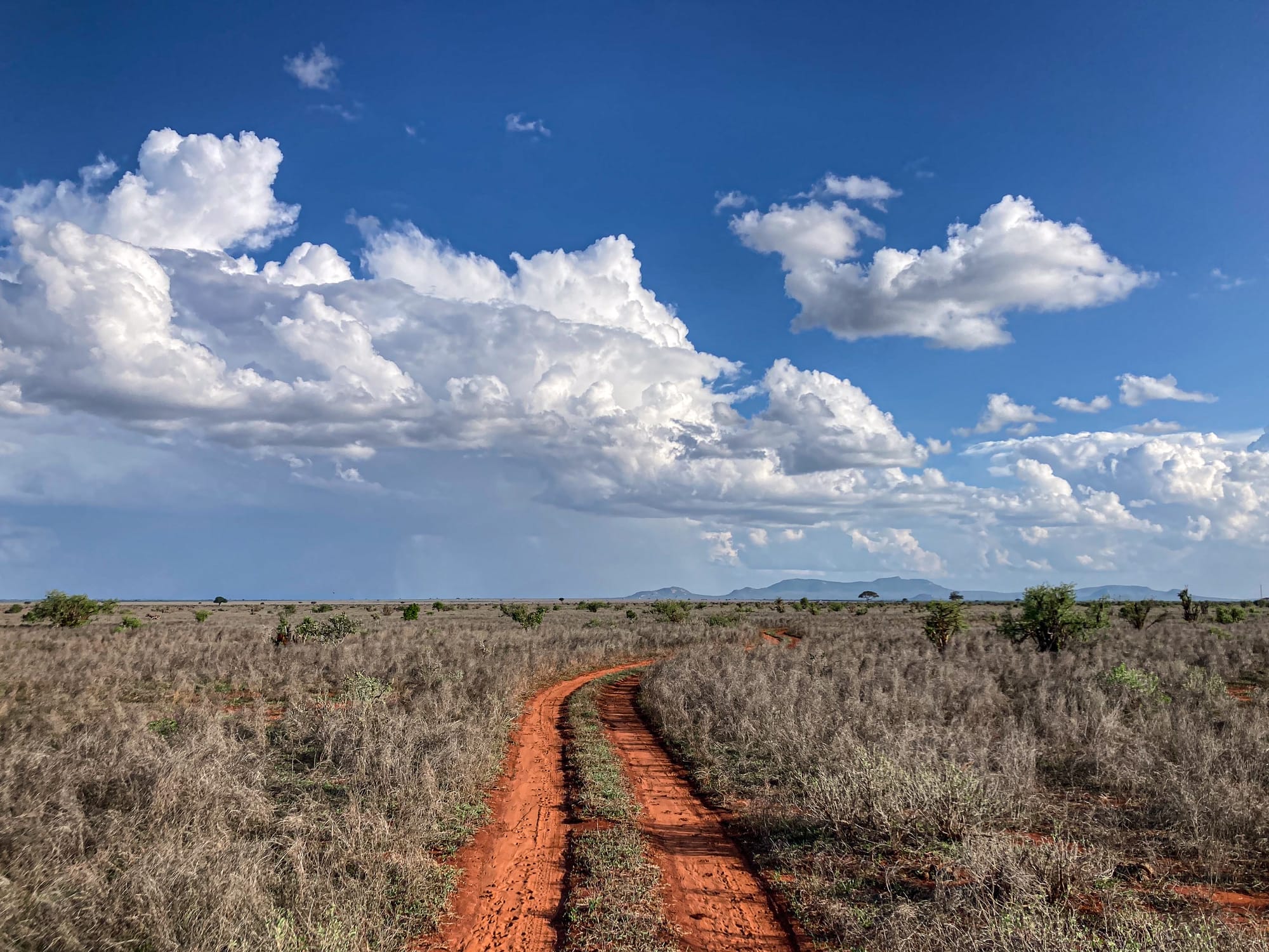 A narrow red dirt road curves through the dry grasslands of Tsavo East National Park, with scattered shrubs, distant mountains, and a dramatic sky full of large white clouds