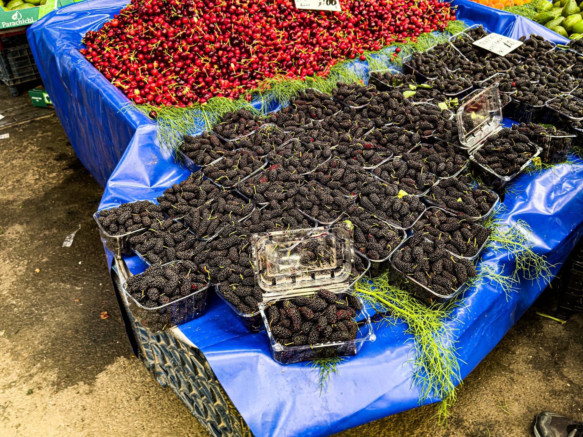Close-up of a market stall at the Kadıköy Bazaar displaying dozens of clear plastic containers filled with ripe black mulberries, with cherries piled high in the background