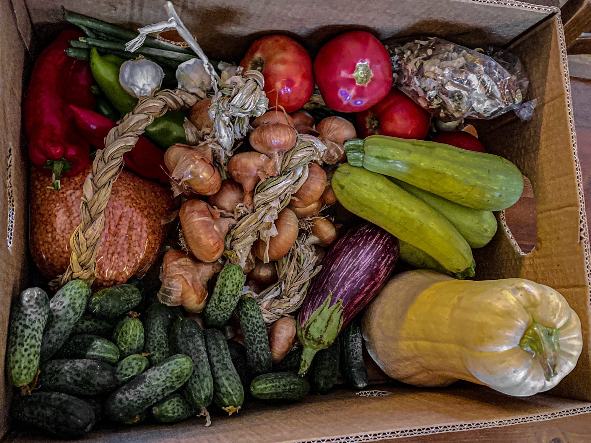 Box of fresh produce from Bansko’s Sunday market, including cucumbers, zucchini, eggplant, squash, onions braided together, red peppers, tomatoes, and a bag of dried herbs