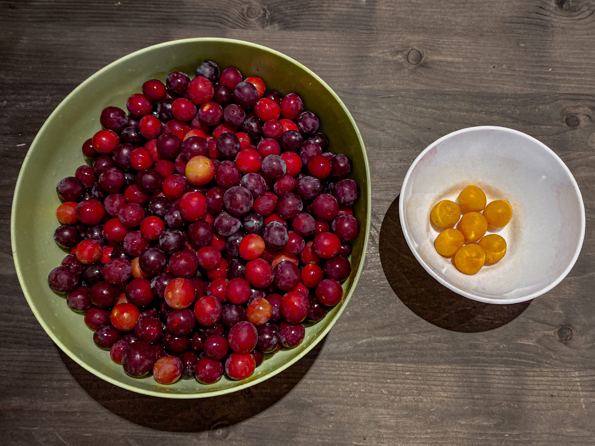 Two bowls of foraged fruit from Bansko: a large green bowl filled with freshly picked red and purple plums, and a smaller white bowl with a handful of bright orange apricots, all set on a wooden table