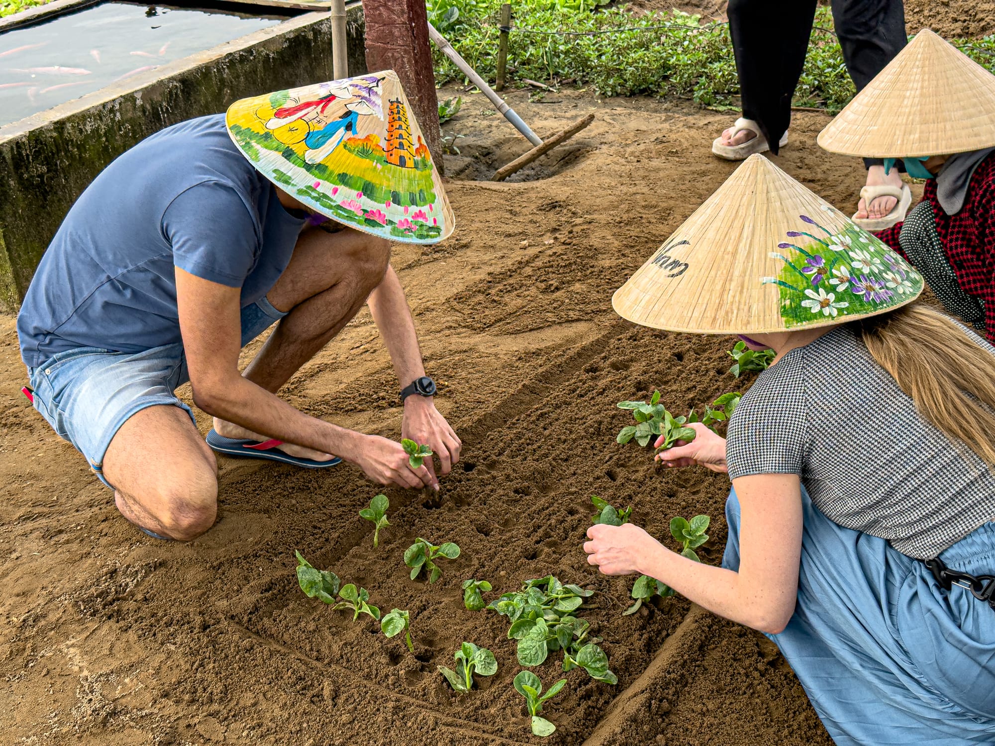 Tour participants wearing traditional conical hats planting vegetable seedlings in the soil at Trà Quế Vegetable Village in Hội An during Rau Ơi Eatery’s vegan cooking class