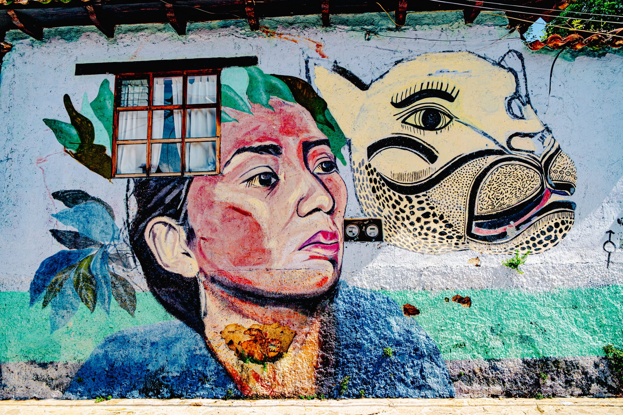 A mural in El Cerrillo, San Cristóbal de las Casas, showing a woman’s face merging with the stylized head of a jaguar on a textured wall beneath a wooden window, symbolizing strength, identity, and the connection between human and animal in Chiapas’ Indigenous culture