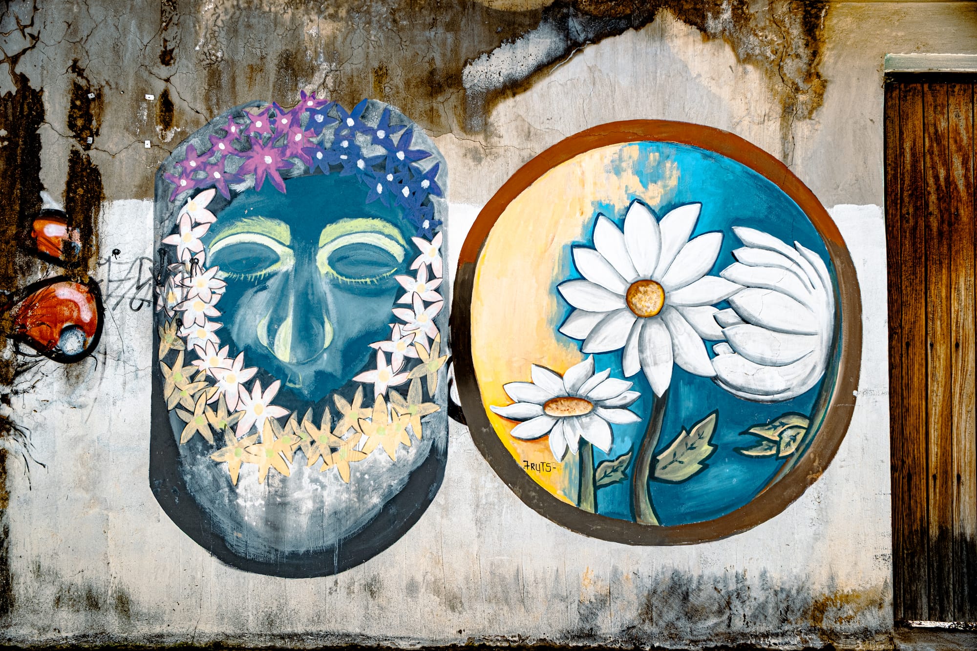 A mural in El Cerrillo, San Cristóbal de las Casas, featuring a blue mask surrounded by flowers beside a circular painting of white daisies against a turquoise background, symbolizing renewal, nature, and the quiet resilience of local street art