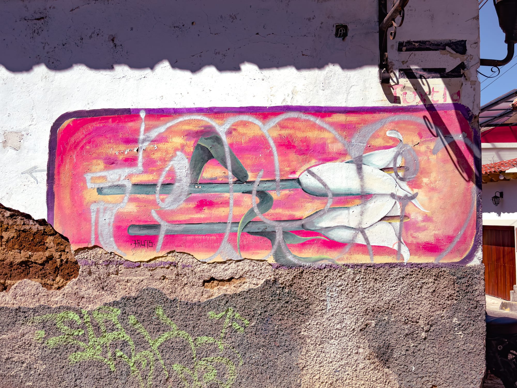 A mural in El Cerrillo, San Cristóbal de las Casas, featuring white calla lilies painted over a pink and orange gradient background on a cracked adobe wall, blending delicacy and decay in the barrio’s evolving street art landscape