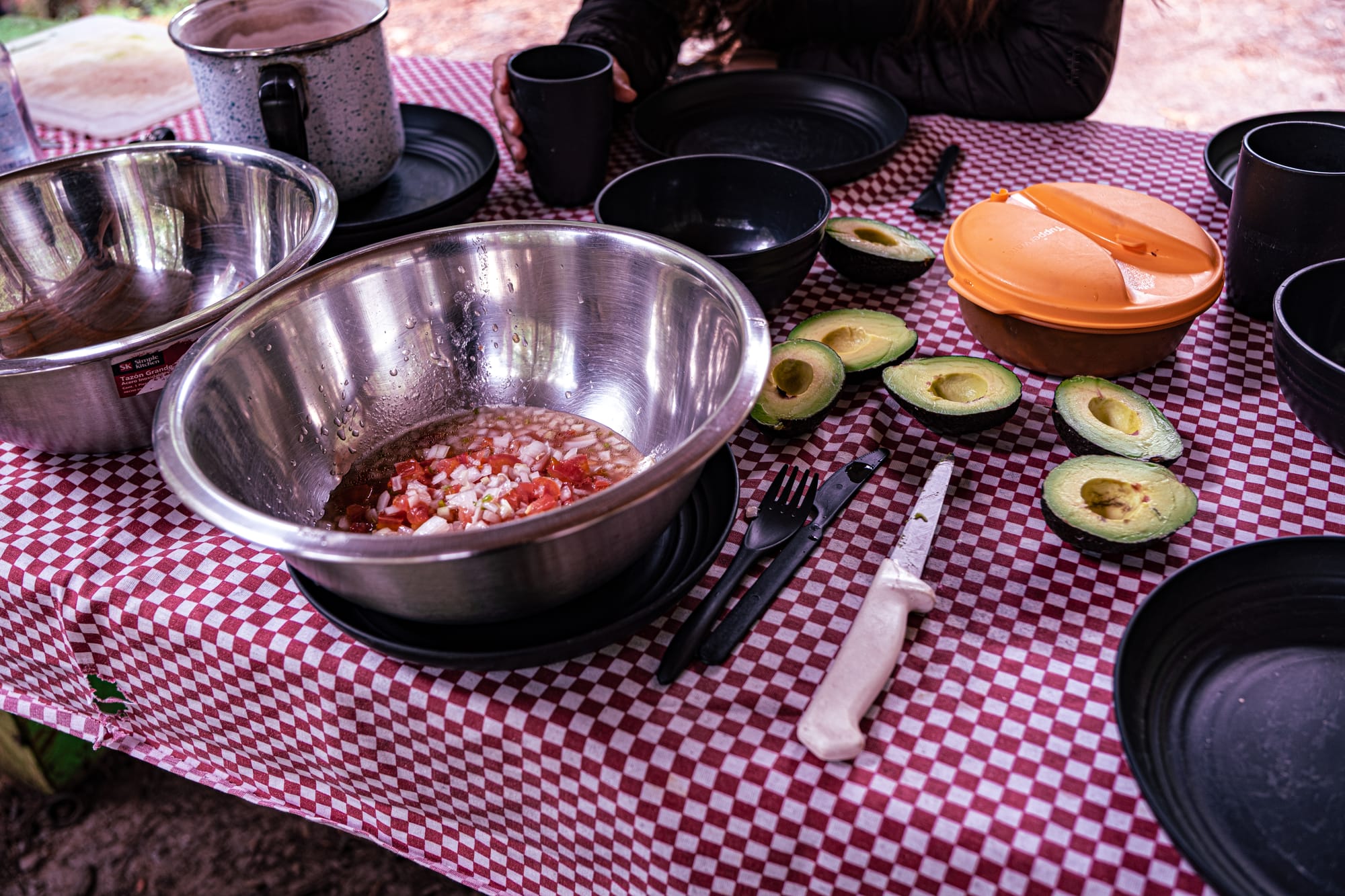A picnic table covered with a red and white checkered cloth displaying bowls of chopped tomatoes and onions, halved avocados, and simple camping utensils prepared for a shared outdoor meal