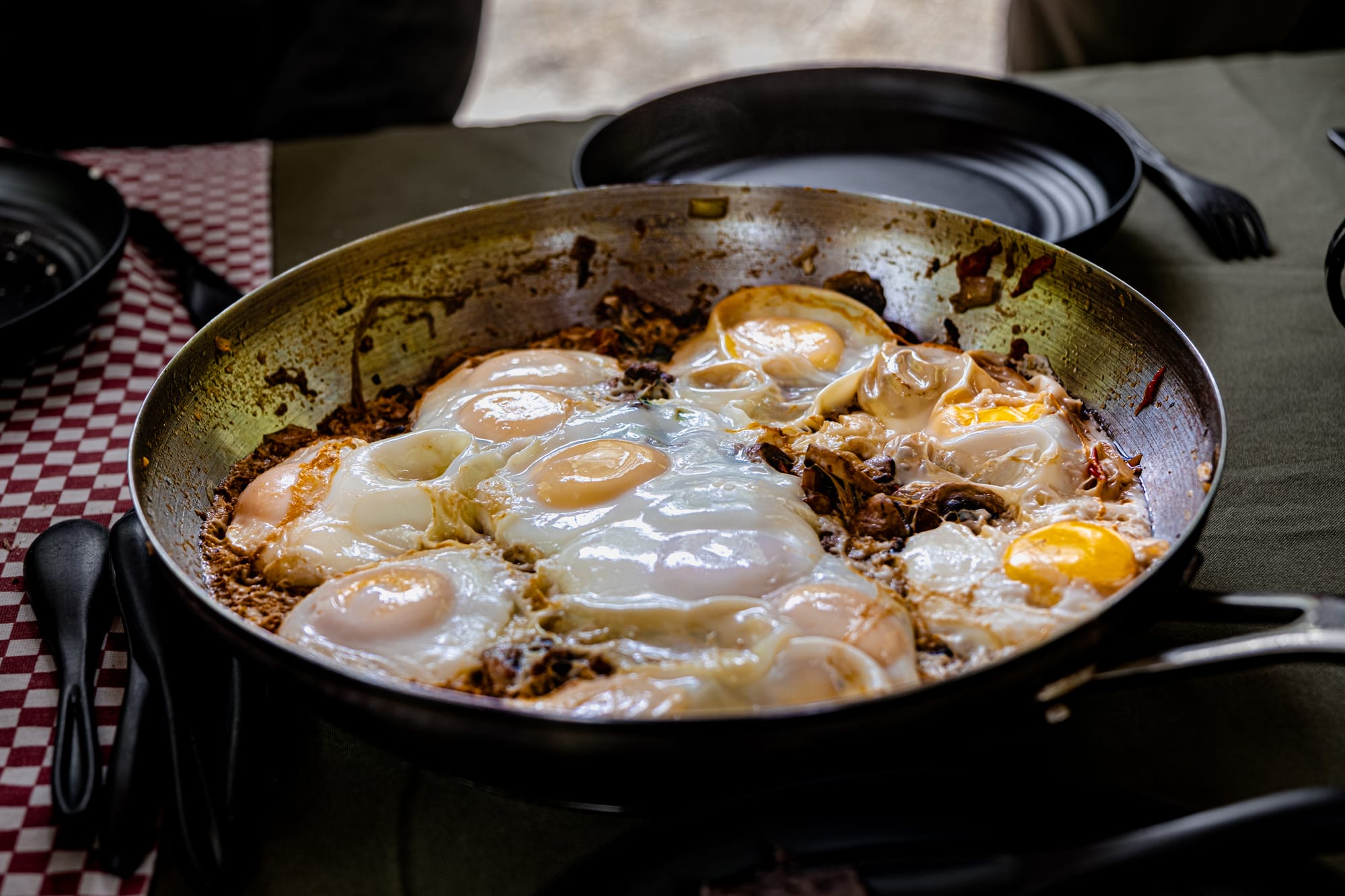 A large metal pan filled with freshly cooked eggs and wild mushrooms sits on a checkered tablecloth, steam rising from the rustic outdoor meal prepared after the fungi hike