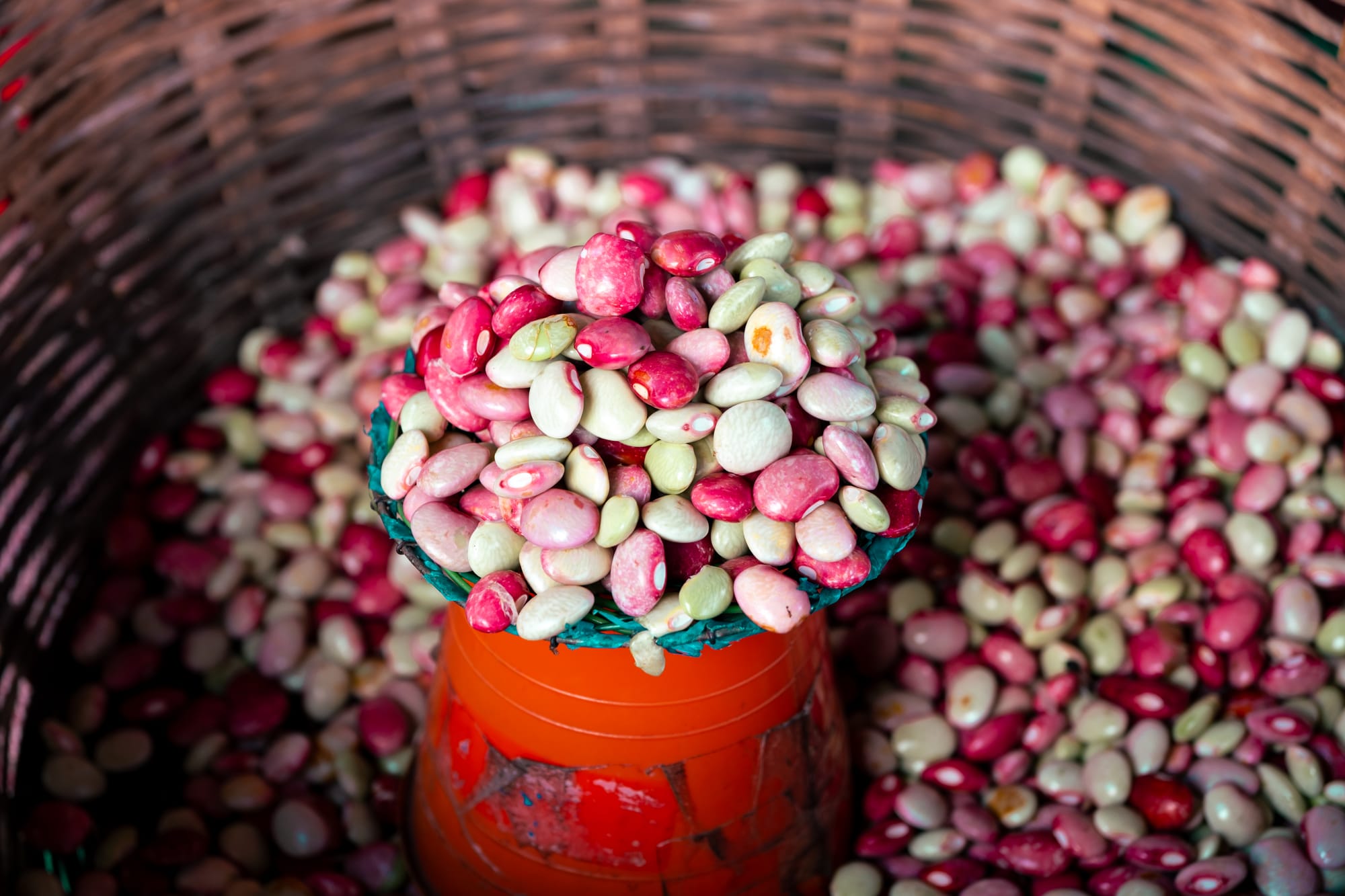 Close-up of red and cream-colored beans piled in a woven basket at Santo Domingo Market in San Cristóbal de las Casas, Chiapas, showcasing local heirloom legumes used in traditional cooking