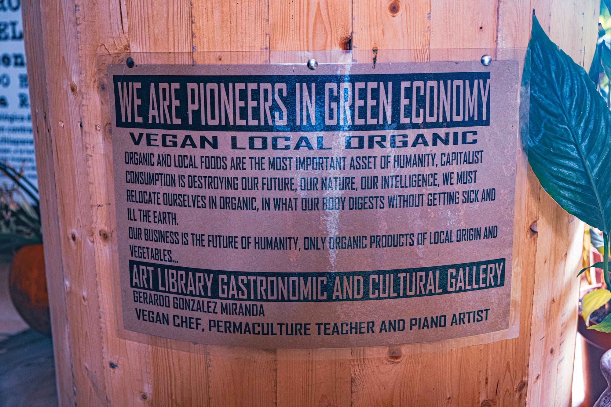 A poster at Art Libreria in San Cristóbal de las Casas describing its vegan, local, and organic food philosophy and commitment to ecological sustainability