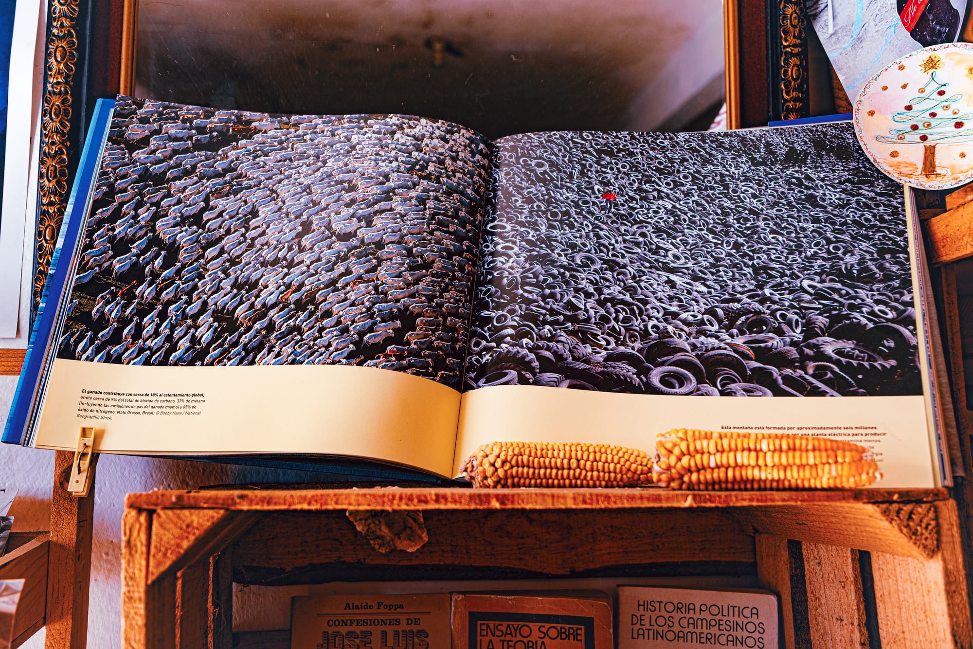 An open book at Art Libreria in San Cristóbal de las Casas displaying aerial photos of massive tire and cattle accumulation, with dried corn resting on the wooden shelf below