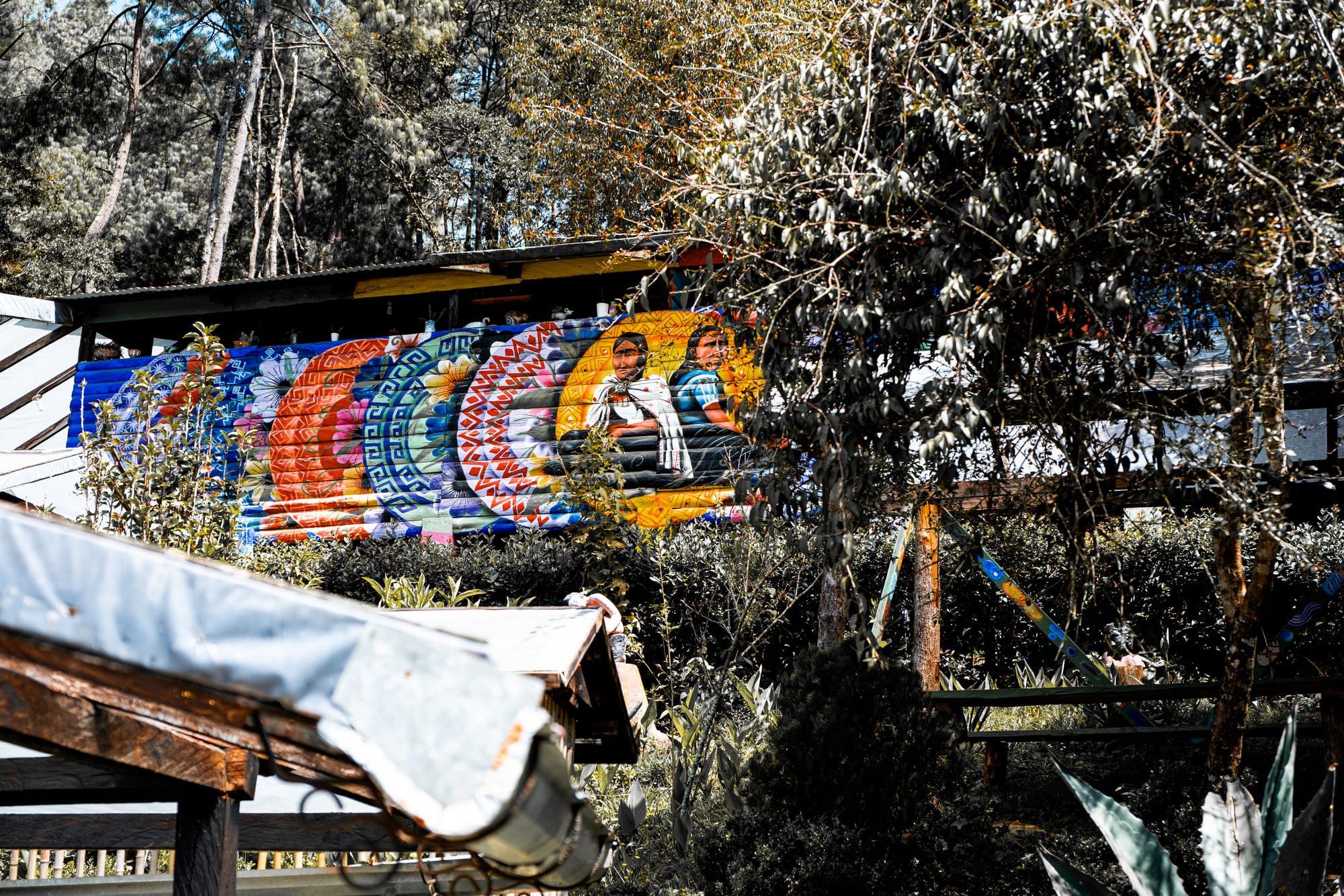 Mural at CIDECI partially visible through trees, featuring two Indigenous women seated against a backdrop of vibrant circular patterns and bright colors, surrounded by plants and forested hillside