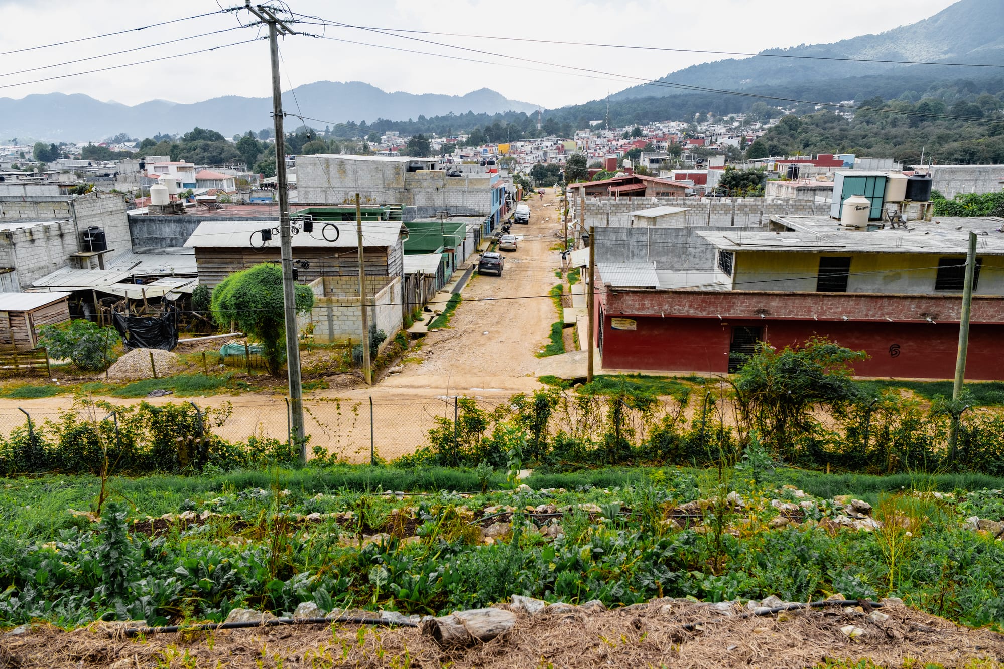 View from the hillside gardens at CIDECI overlooking a dirt road, modest homes, and the surrounding neighborhoods of San Cristóbal de las Casas with forested mountains in the background