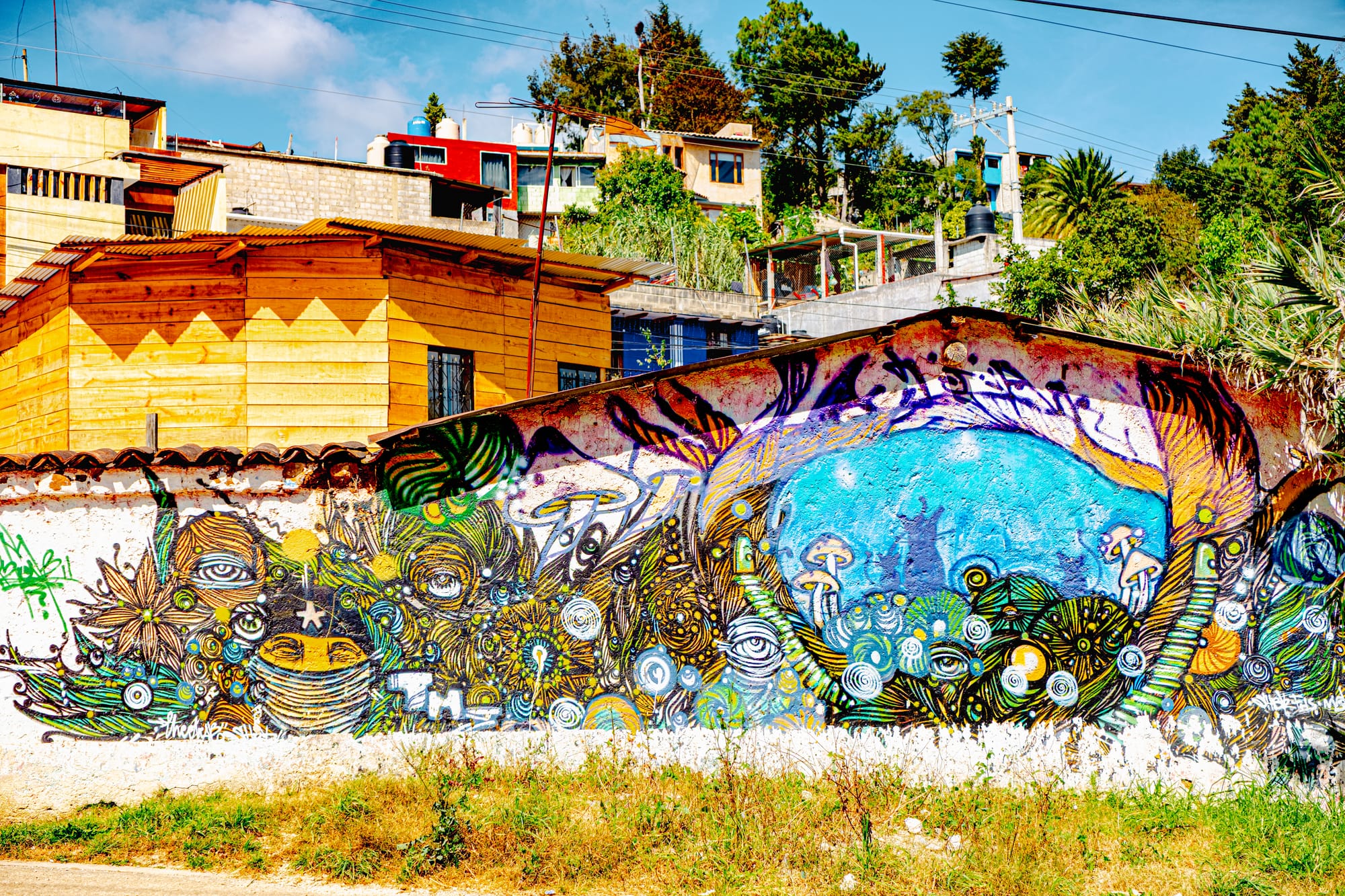 A vibrant mural with swirling psychedelic patterns, mushrooms, and watchful eyes, framed around a blue center showing silhouetted Zapatista figures