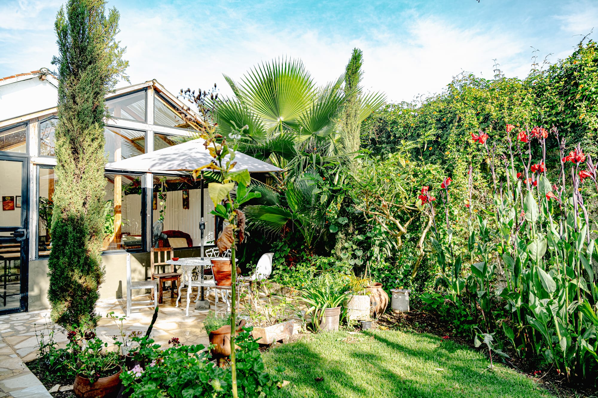 Lush garden at Co404 coliving in San Cristóbal de las Casas, with tropical plants, tall red flowers, and an outdoor seating area beside the glass-walled common room