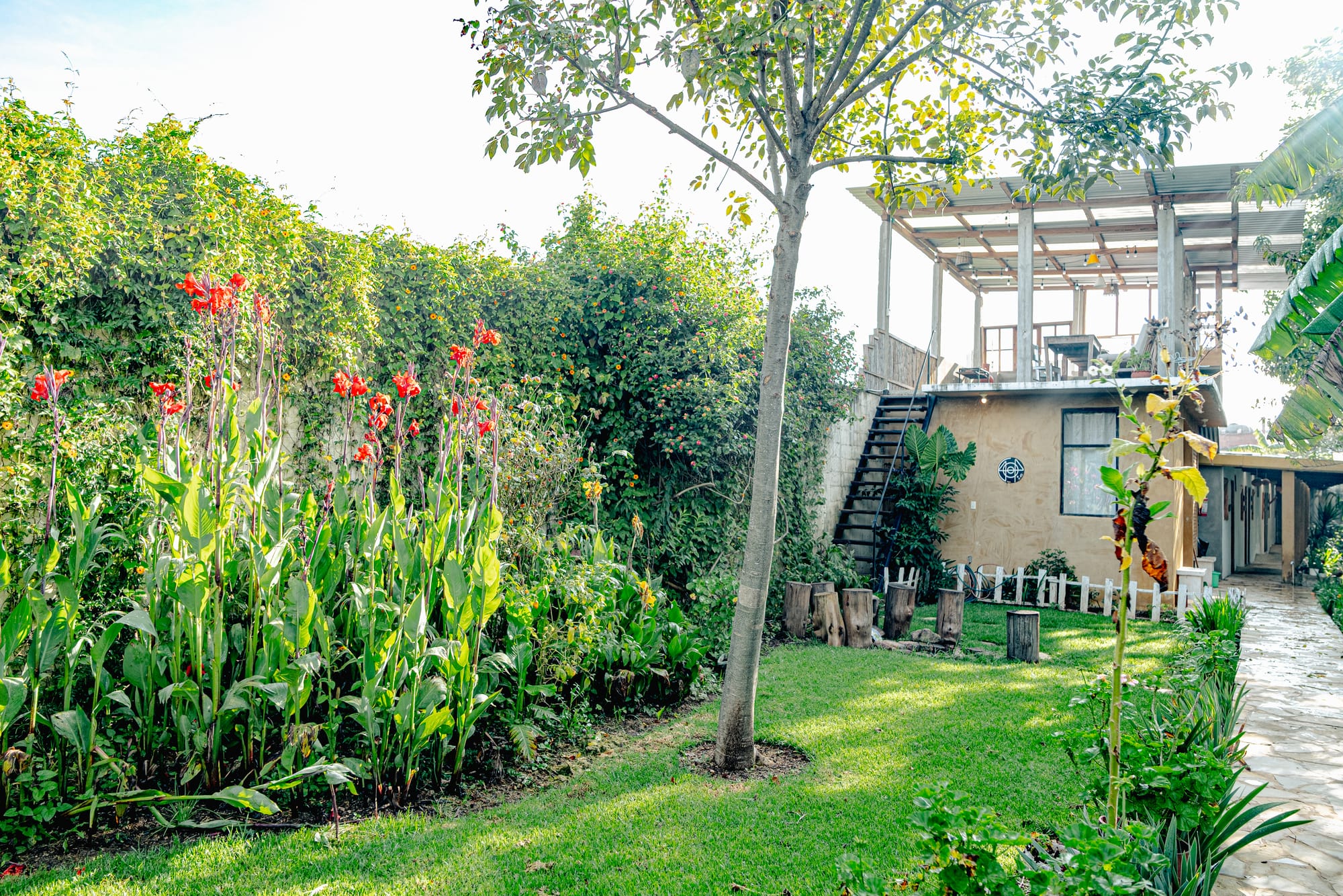 Garden at Co404 coliving in San Cristóbal de las Casas, featuring tall red flowers, green lawn, and the outdoor terrace area