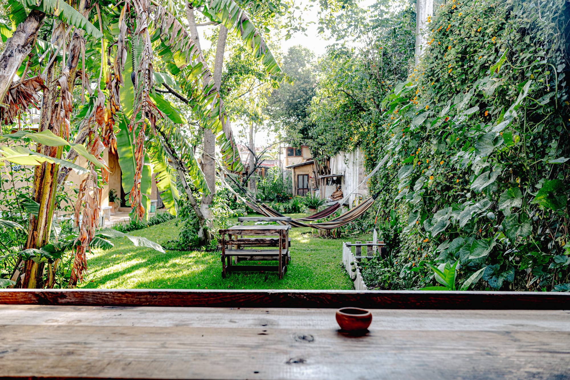 Garden view at Co404 coliving in San Cristóbal de las Casas, showing hammocks, banana trees, and outdoor seating surrounded by lush greenery