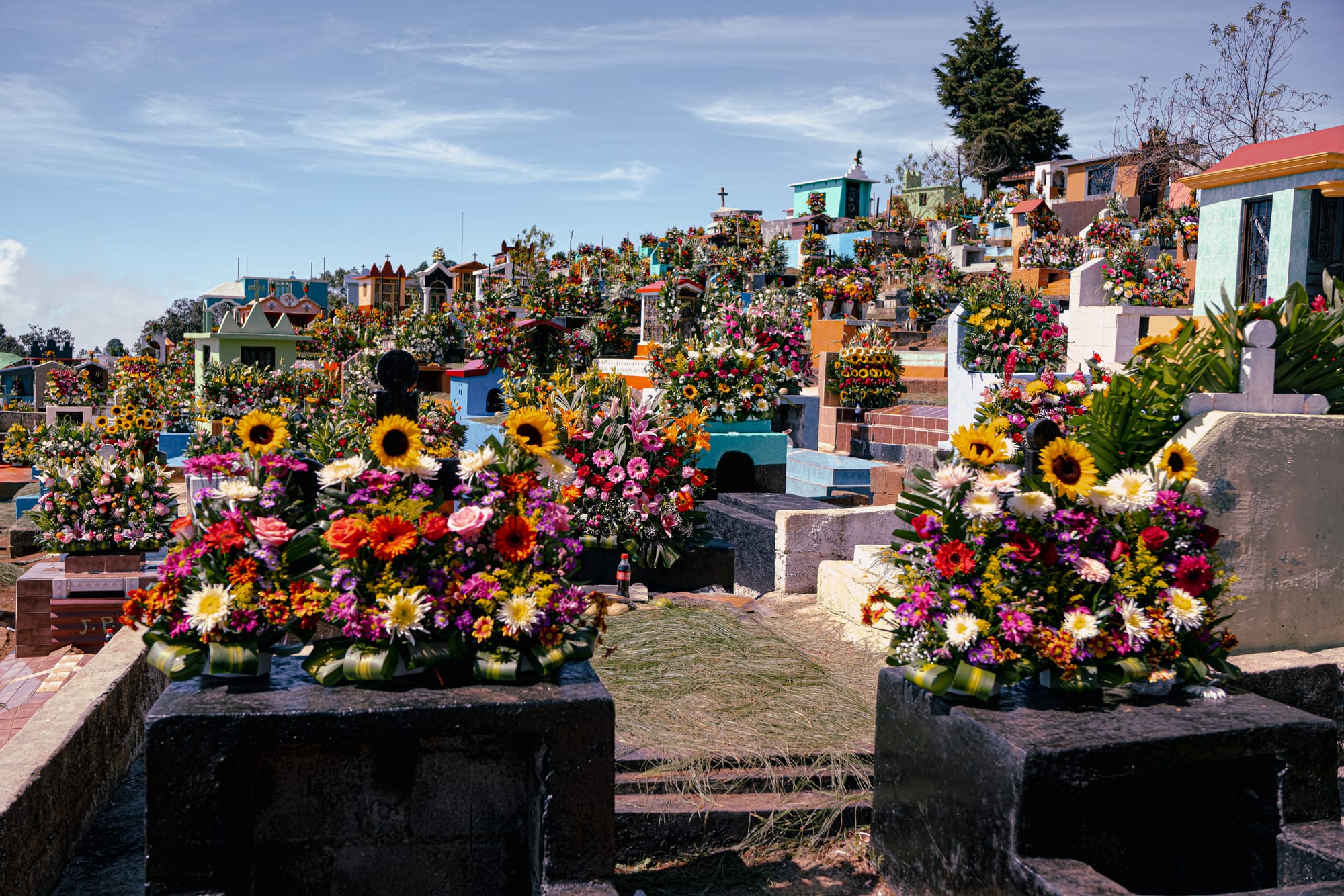 Día de Muertos at Zinacantán Cemetery in Zinacantán, Chiapas, Mexico, hillside cemetery covered in vibrant floral arrangements, graves decorated with sunflowers and colorful flowers, Day of the Dead flower traditions in a town known for flower cultivation, ornate and peaceful cemetery setting