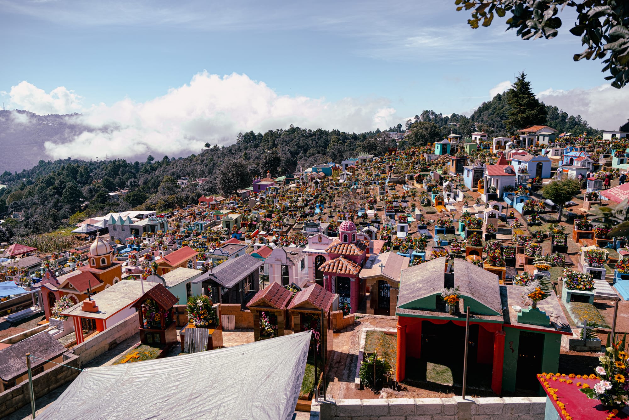 Día de Muertos at Zinacantán Cemetery in Zinacantán, Chiapas, Mexico, panoramic view of hillside cemetery filled with colorful tombs and flower-covered graves, traditional Day of the Dead decorations across a town known for flower cultivation, sweeping mountain landscape surrounding the cemetery