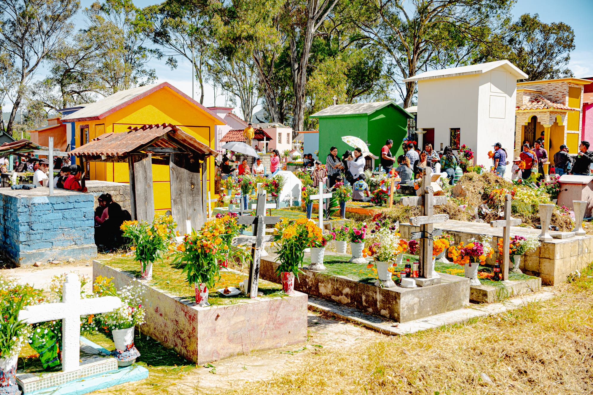 Día de Muertos at San Cristóbal Municipal Pantheon in San Cristóbal de las Casas, Chiapas, Mexico, colorful above ground graves and house like mausoleums decorated with marigolds and flowers, families gathered throughout the cemetery, local Day of the Dead celebration inside the city cemetery with strong community presence