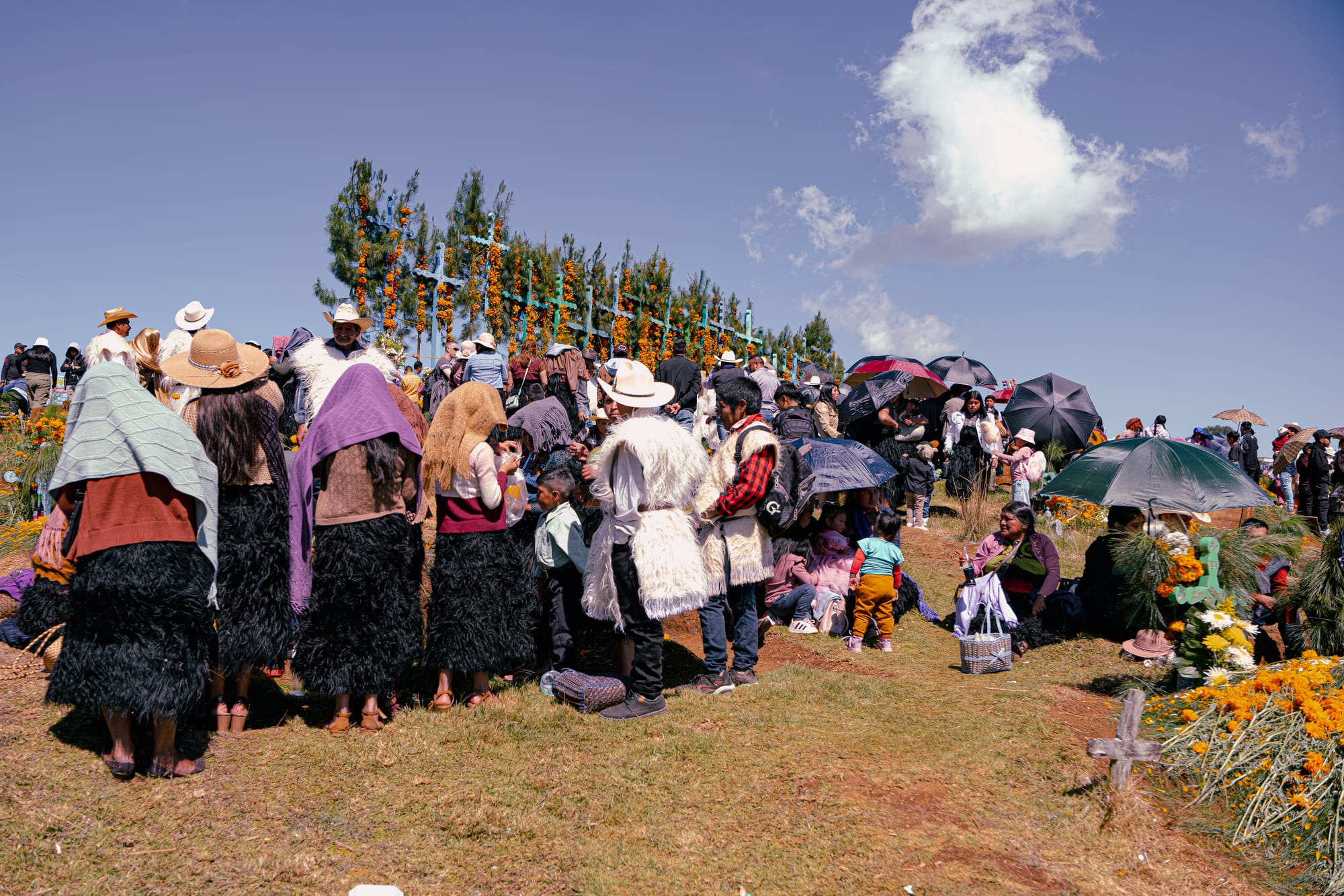 Romerillo Cemetery Day of the Dead San Cristobal de las Casas, hillside cemetery filled with pine needles marigolds and wooden grave markers, families gathered throughout the cemetery, traditional Indigenous clothing and local community presence, Day of the Dead celebration in Chiapas Mexico, Romerillo cemetery graves covered in pine and cempasúchil, communal atmosphere with markets and tents nearby