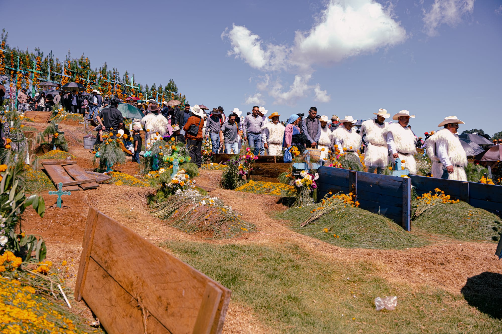 Día de Muertos at Romerillo Cemetery Chiapas, procession of indigenous men wearing white wool garments and traditional hats walking through pine covered graves, marigold decorated hilltop cemetery with tall crosses wrapped in flowers, communal Day of the Dead gathering with families and musicians near San Cristóbal de las Casas