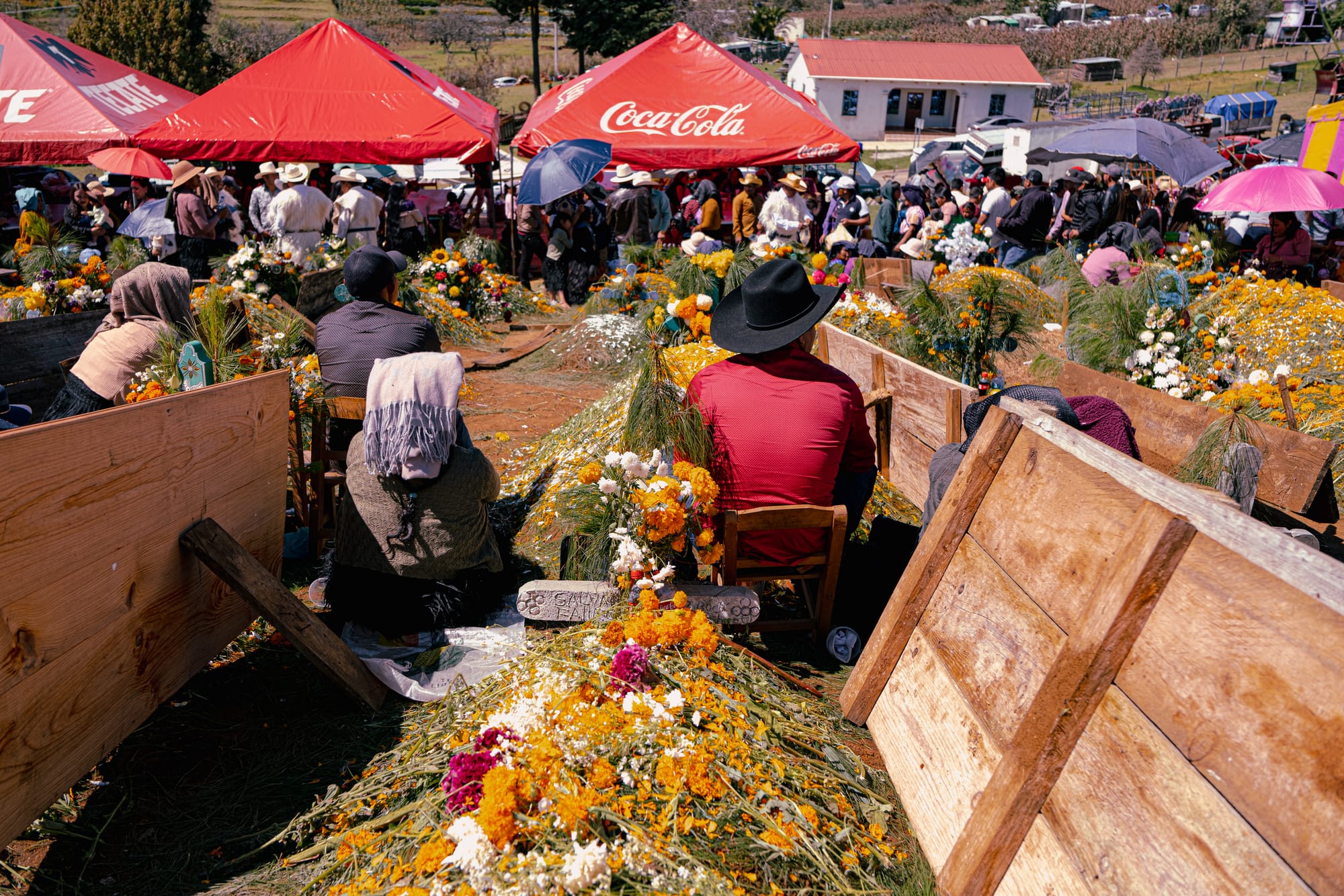 Día de Muertos at Romerillo Cemetery Chiapas, families sitting beside pine covered graves decorated with marigolds and flowers, crowded hillside cemetery with communal gathering, indigenous Day of the Dead celebration with offerings music and festival atmosphere near San Cristóbal de las Casas