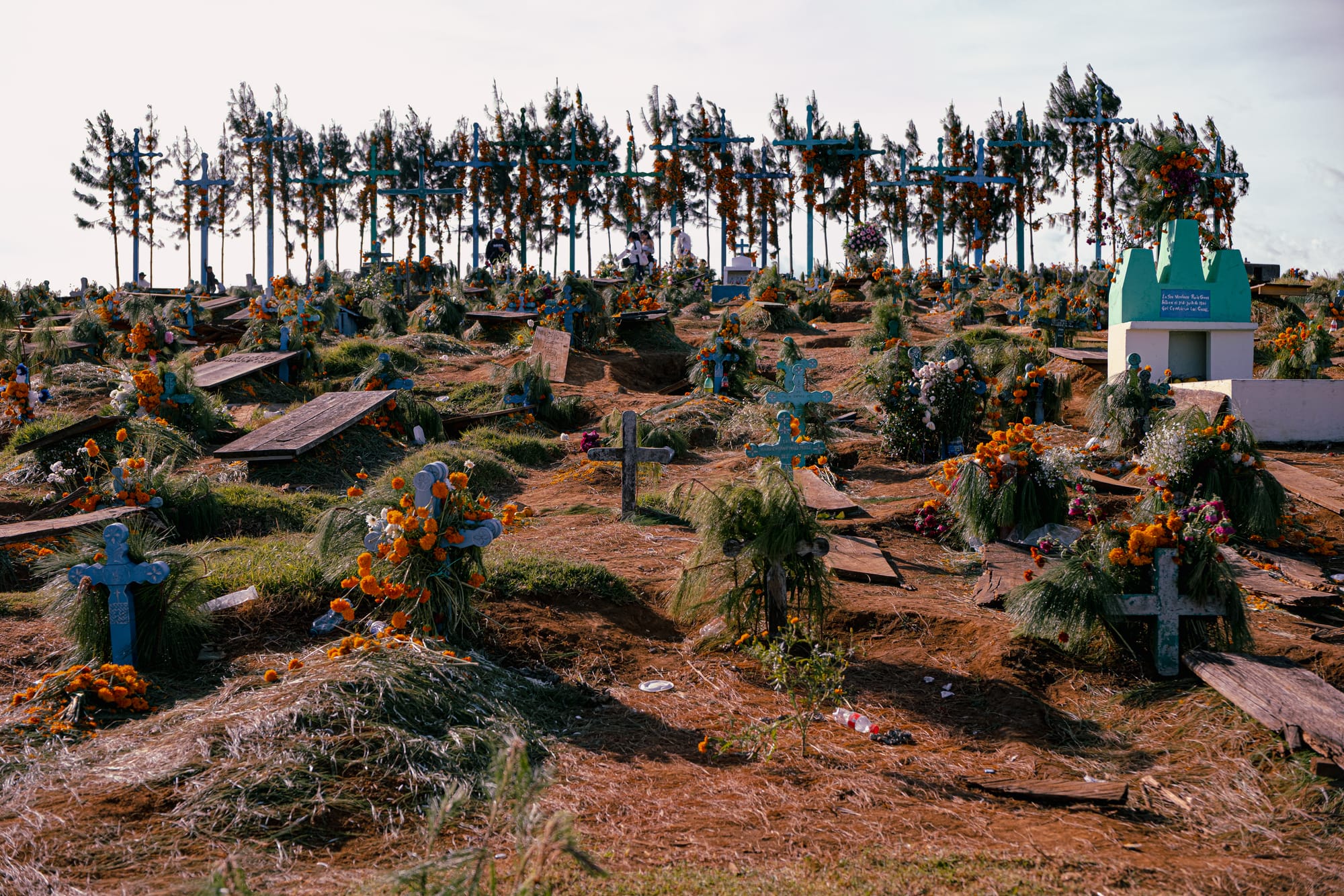 Día de Muertos at Romerillo Cemetery Chiapas, wide view of hilltop cemetery covered with pine needles marigolds and wooden crosses, tall crosses lining the ridge above the graves, indigenous Day of the Dead burial grounds with families and offerings near San Cristóbal de las Casas