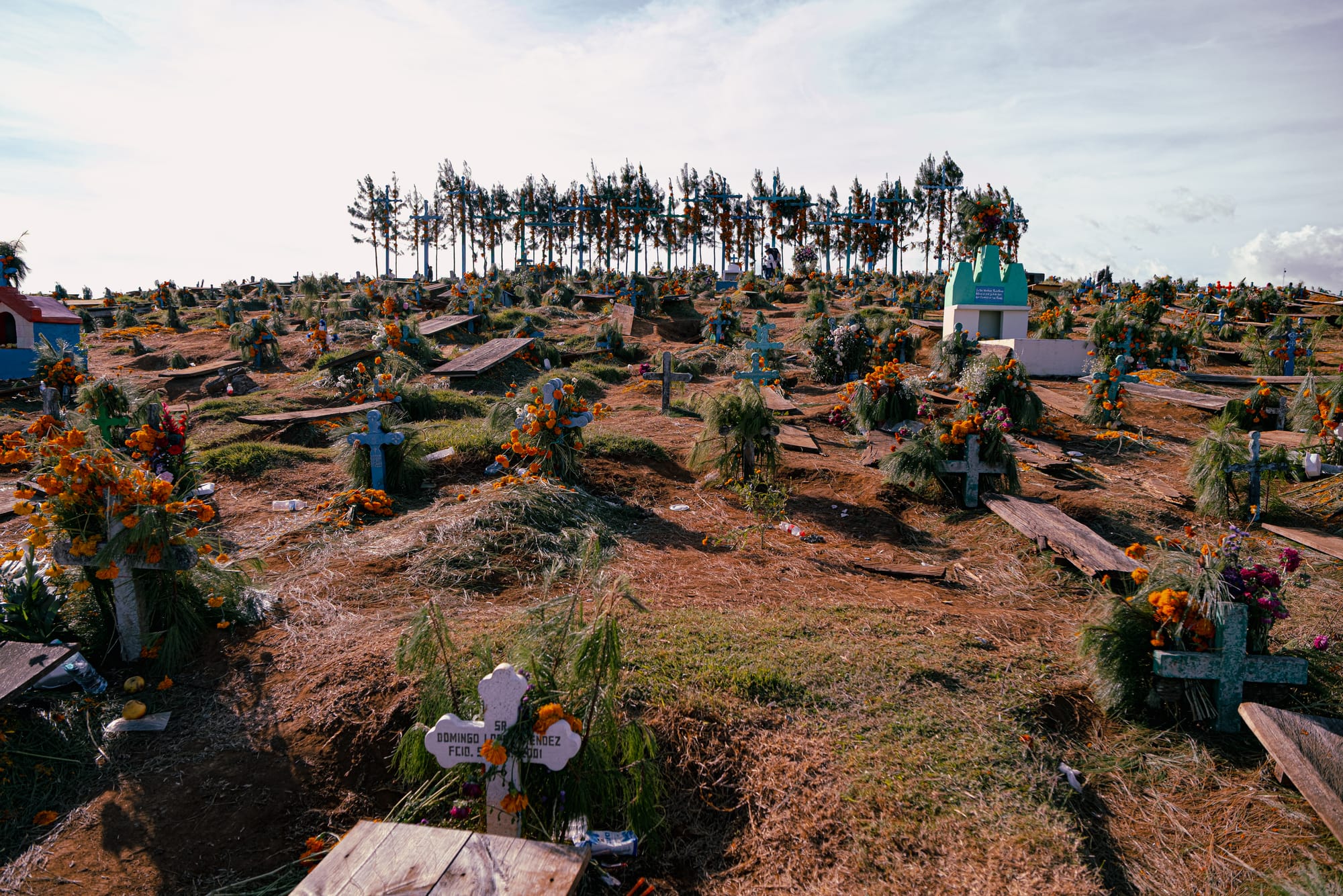 Día de Muertos at Romerillo Cemetery Chiapas, wide view of hilltop cemetery covered with pine needles and marigolds, wooden crosses marking graves across uneven ground, tall crosses lining the ridge in the background, indigenous Day of the Dead burial site near San Cristóbal de las Casas after the main celebrations