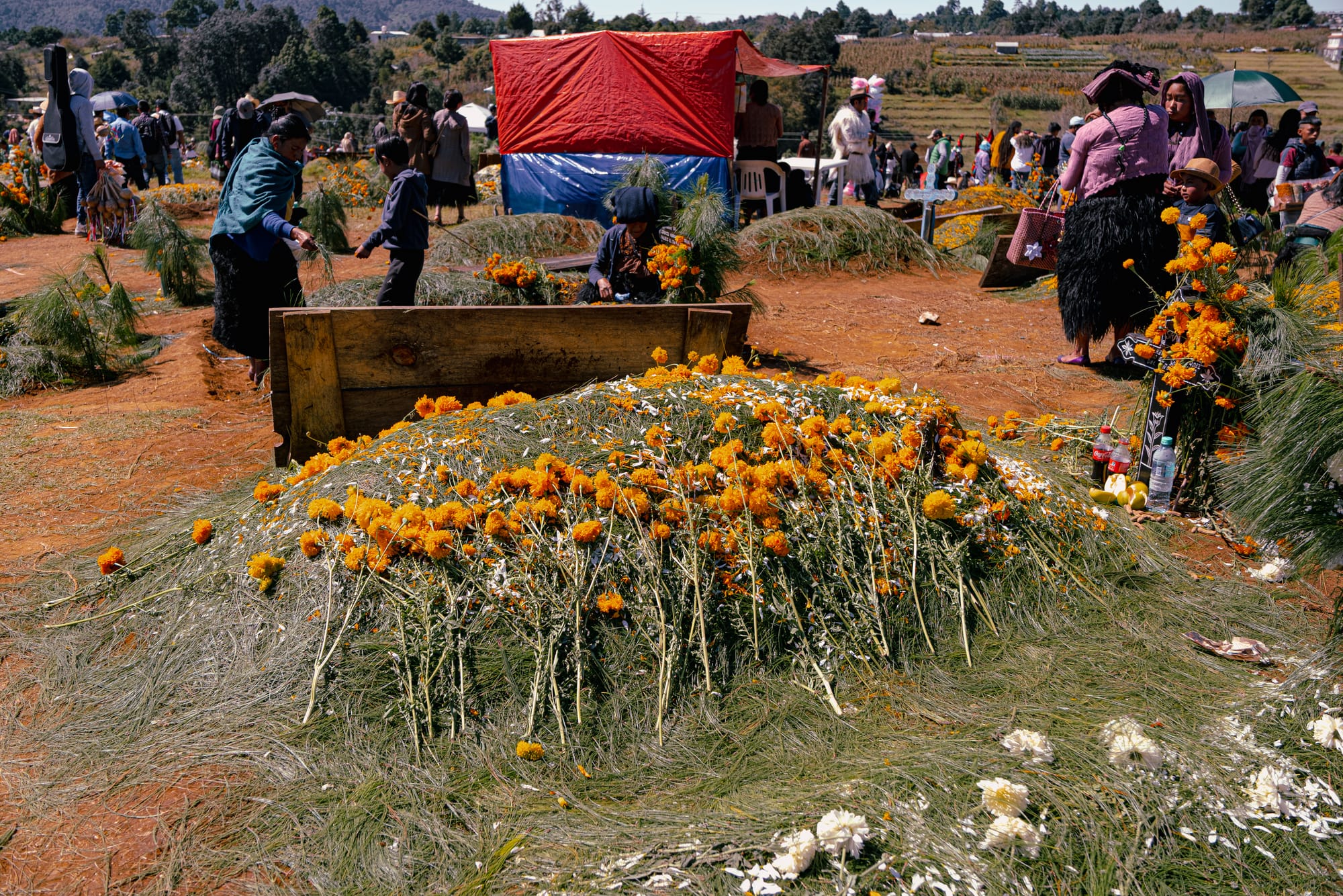 Romerillo Cemetery Day of the Dead celebration near San Cristóbal de las Casas, family arranging a pine-covered grave with marigolds and white flowers, communal graves decorated with pine needles, marigold petals, wooden grave markers, local Indigenous clothing, Oaxaca Chiapas Day of the Dead traditions, Romerillo hilltop cemetery with festival atmosphere, Día de Muertos Chiapas rural cemetery scene